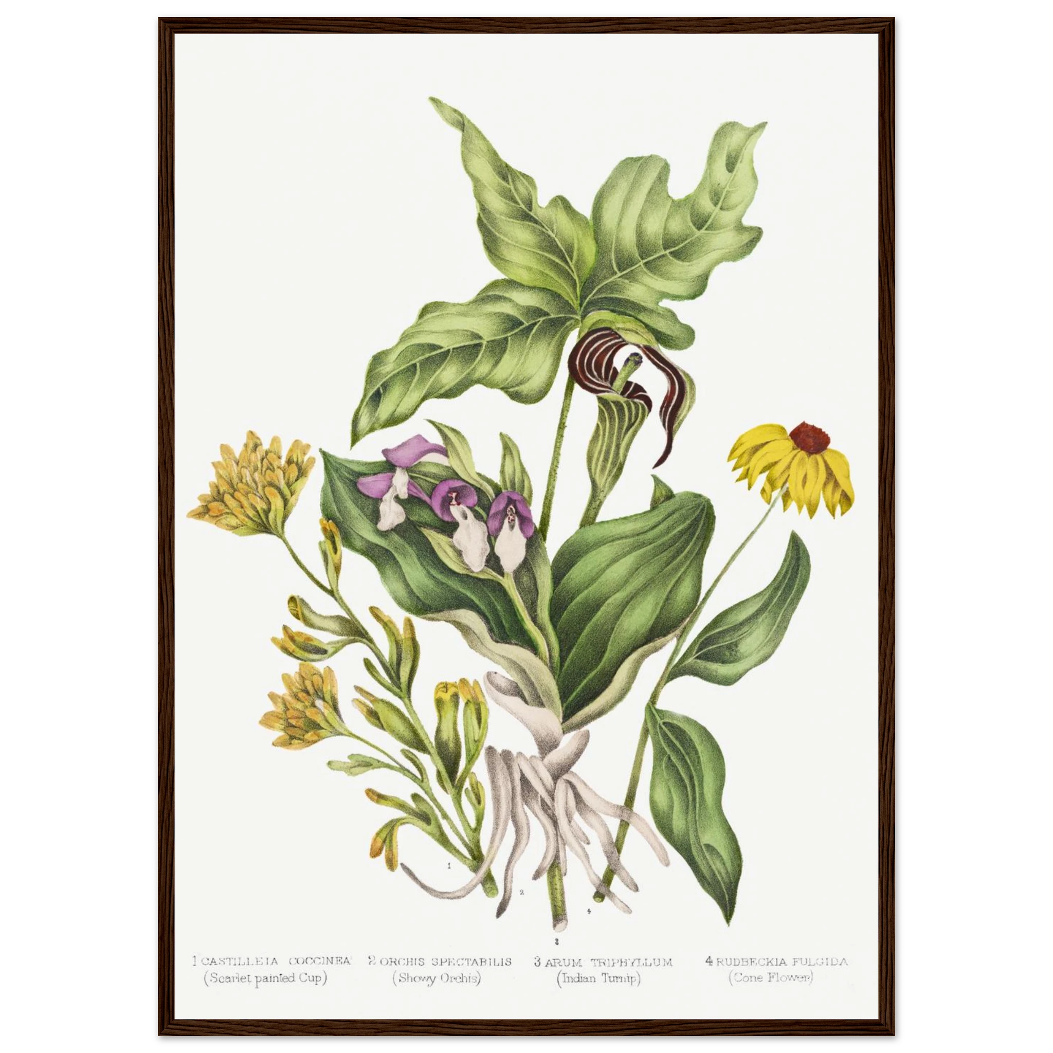 2432e4f0-13f1-4818-839b-d8cbdc720c44