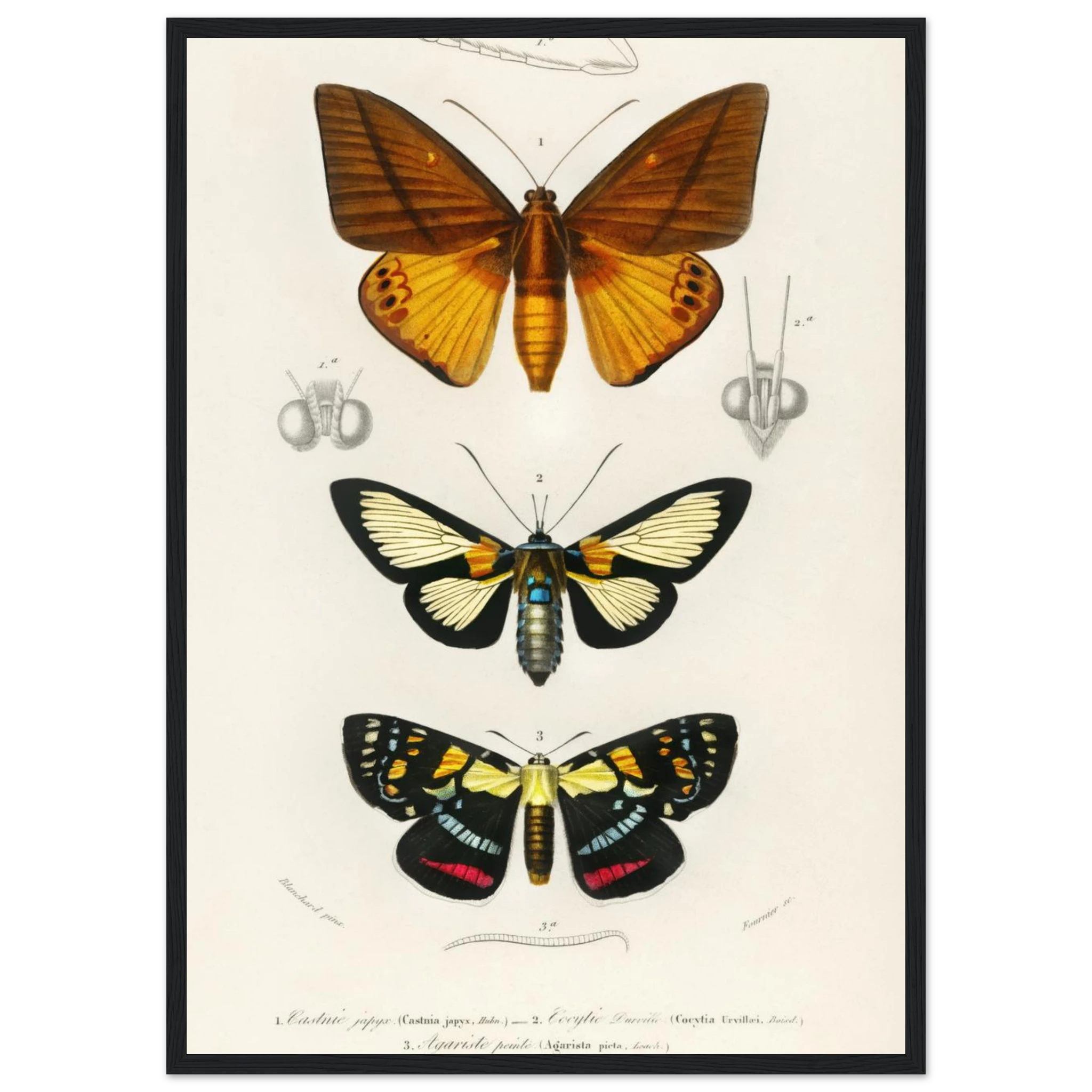 24602b50-a905-4260-9ba4-6105273e6a4c