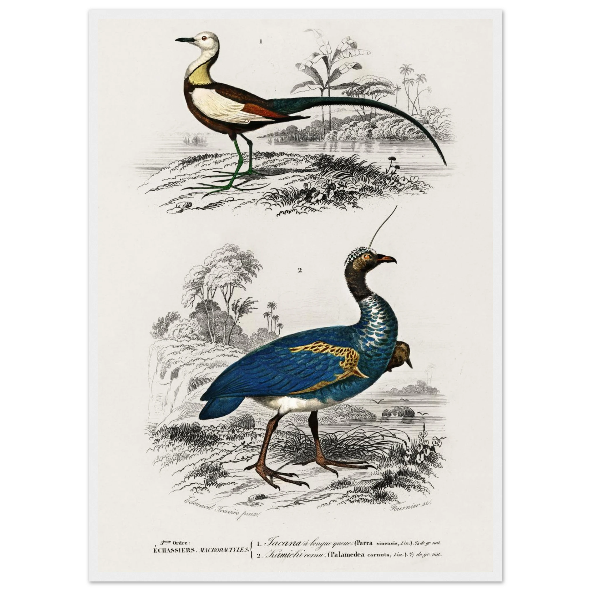 246da448-0a15-4f34-beb9-a5c96019d70e