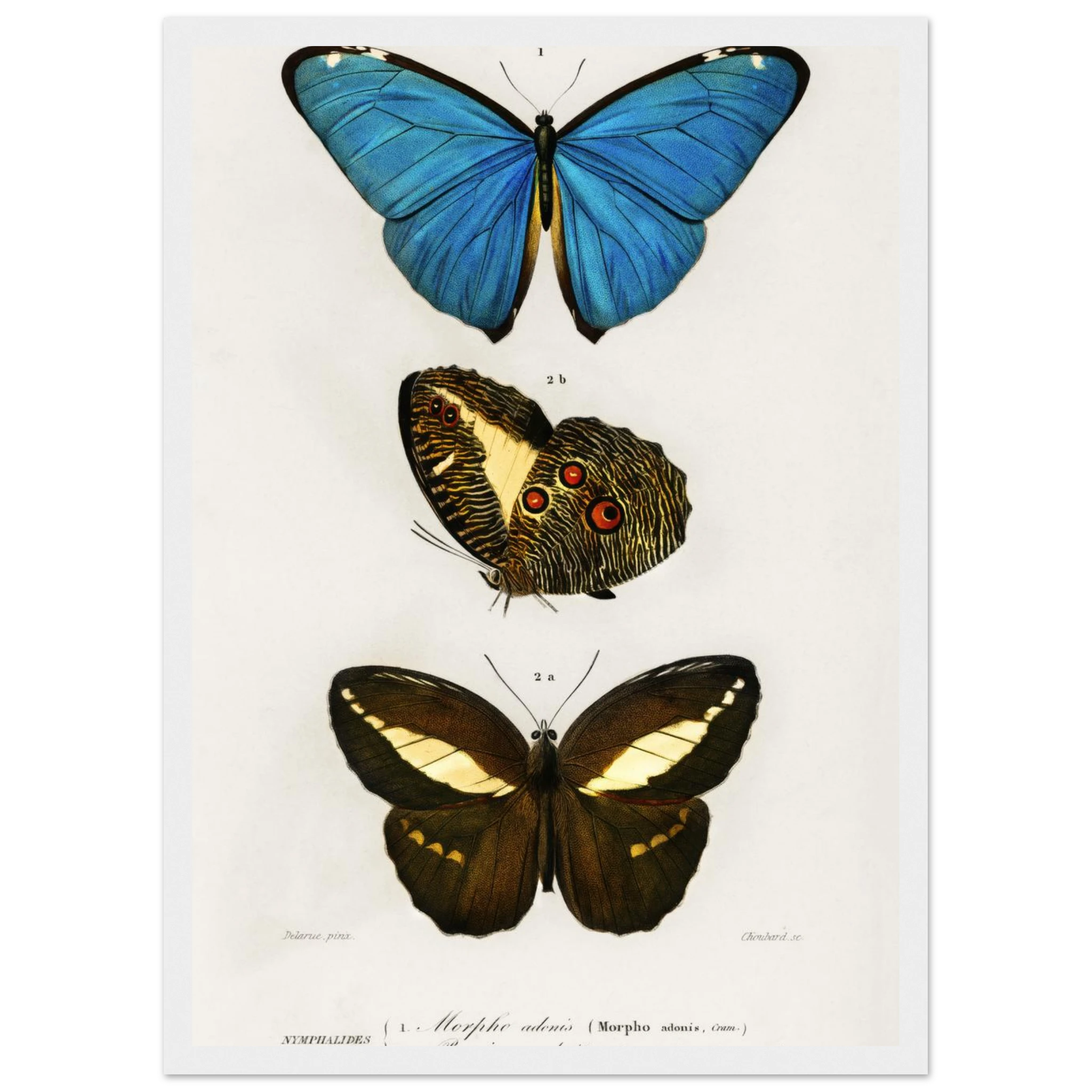 24805314-b413-4d2f-a904-361d934cdbcf