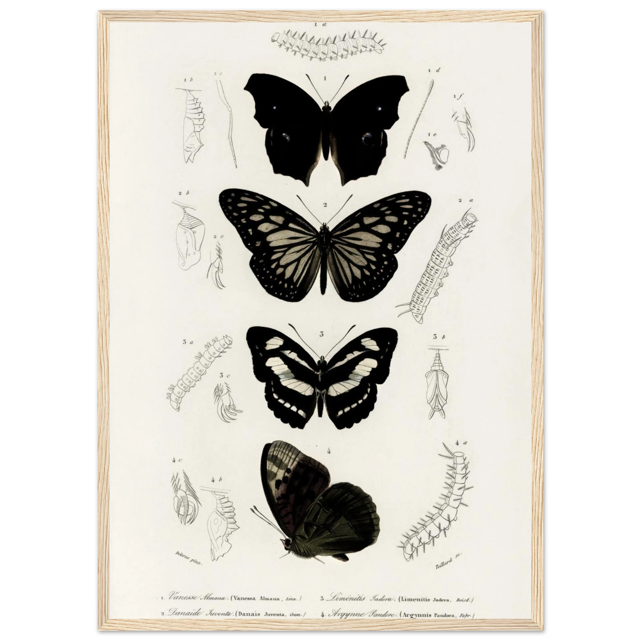 24e9f387-5825-4c85-bc17-34343bf4da20