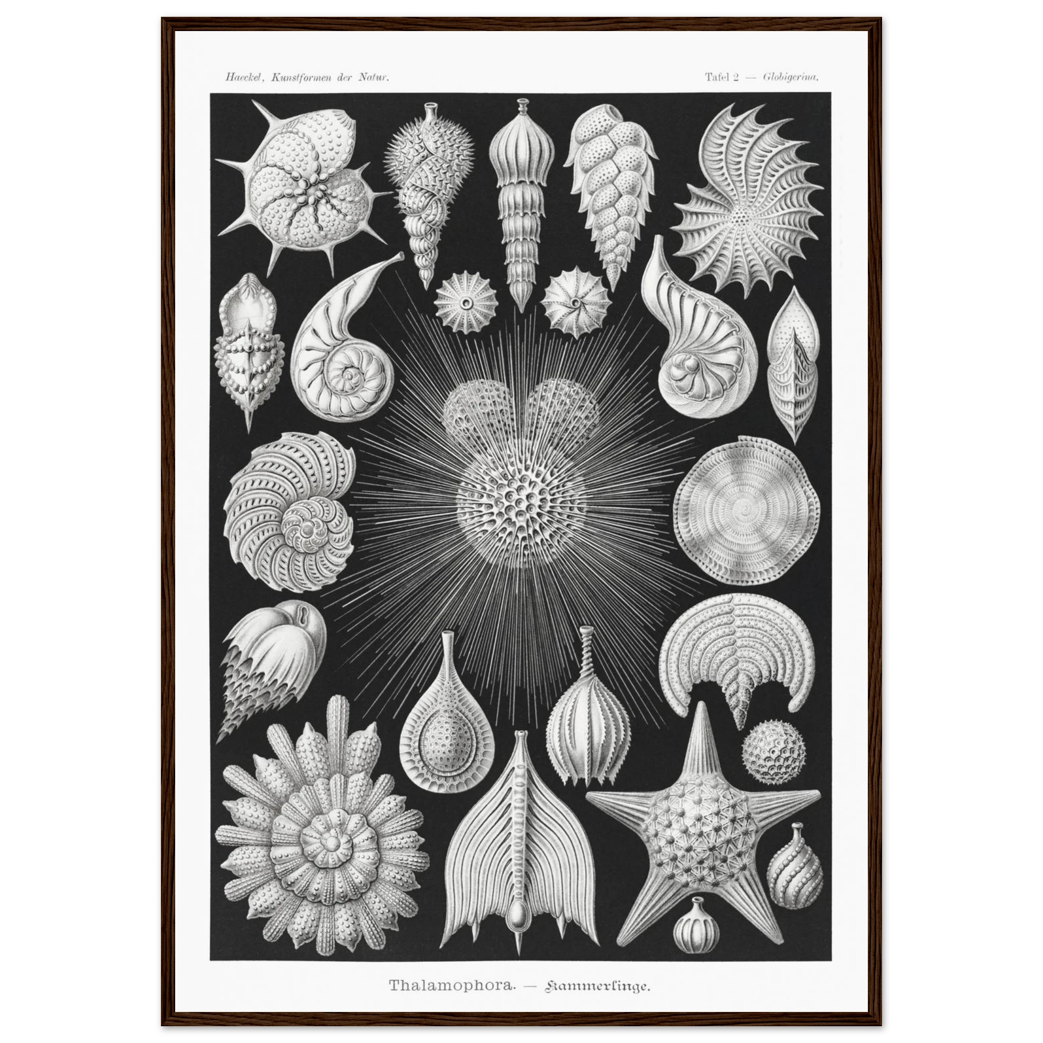 24fde1d8-d198-4d17-9498-4c88c33421a2