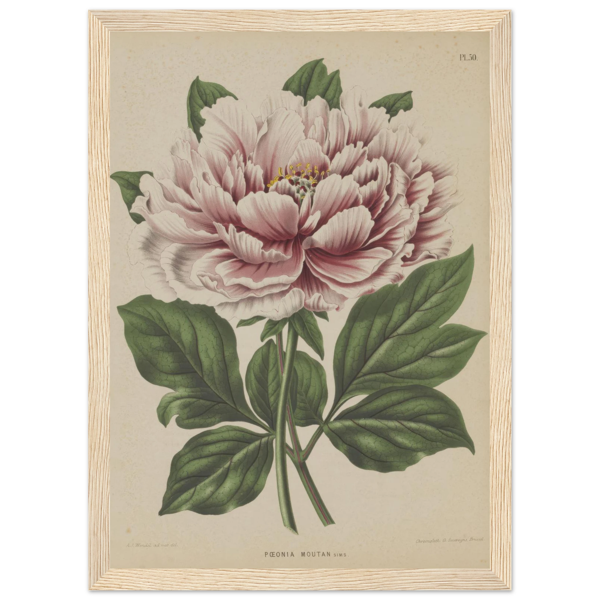 2531b877-9c96-4f44-bc22-7fd3843f4053