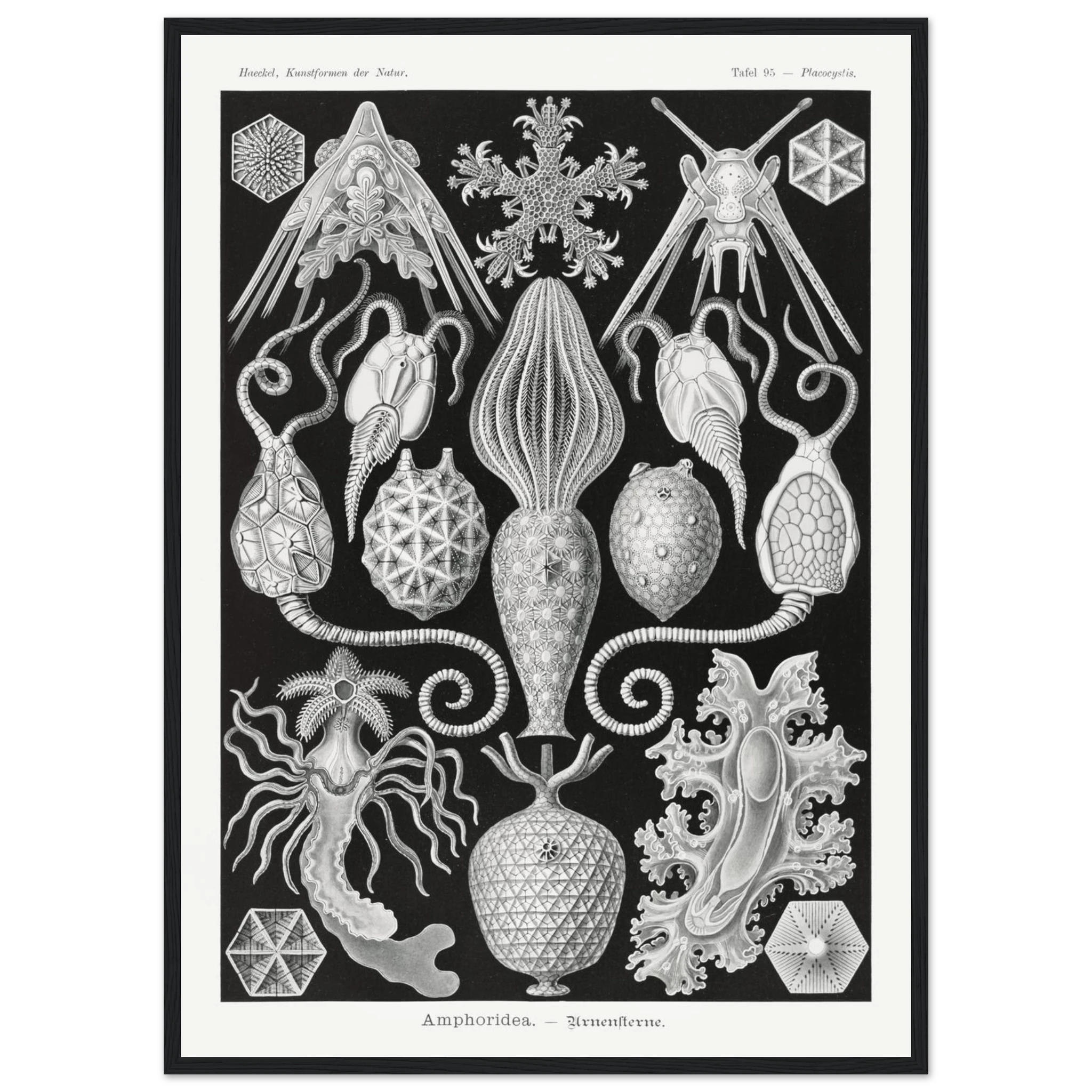 25482015-c3ad-4de3-adac-dfa29ee2a98a