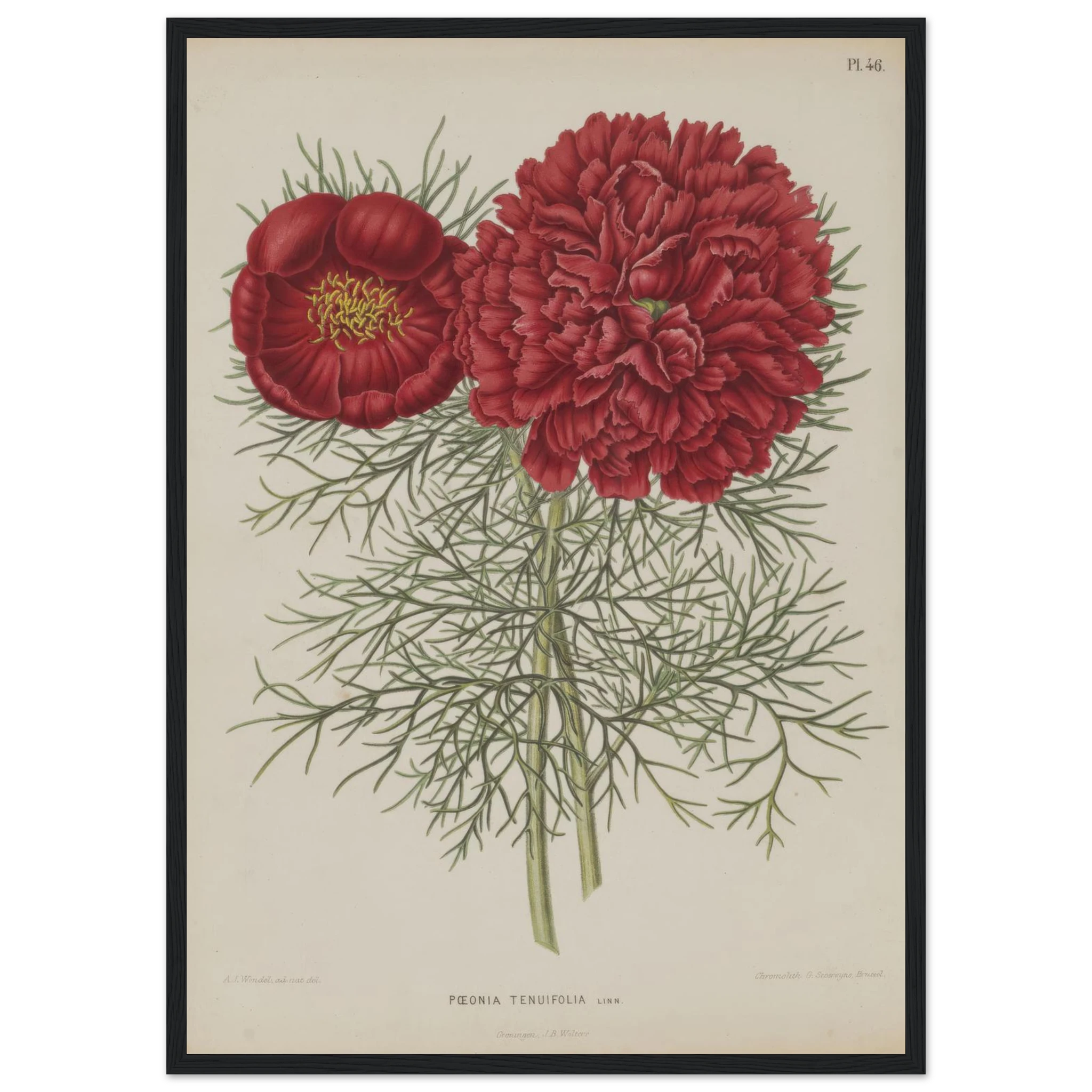 254bc7e8-e8af-4d48-9262-32c48ae55534