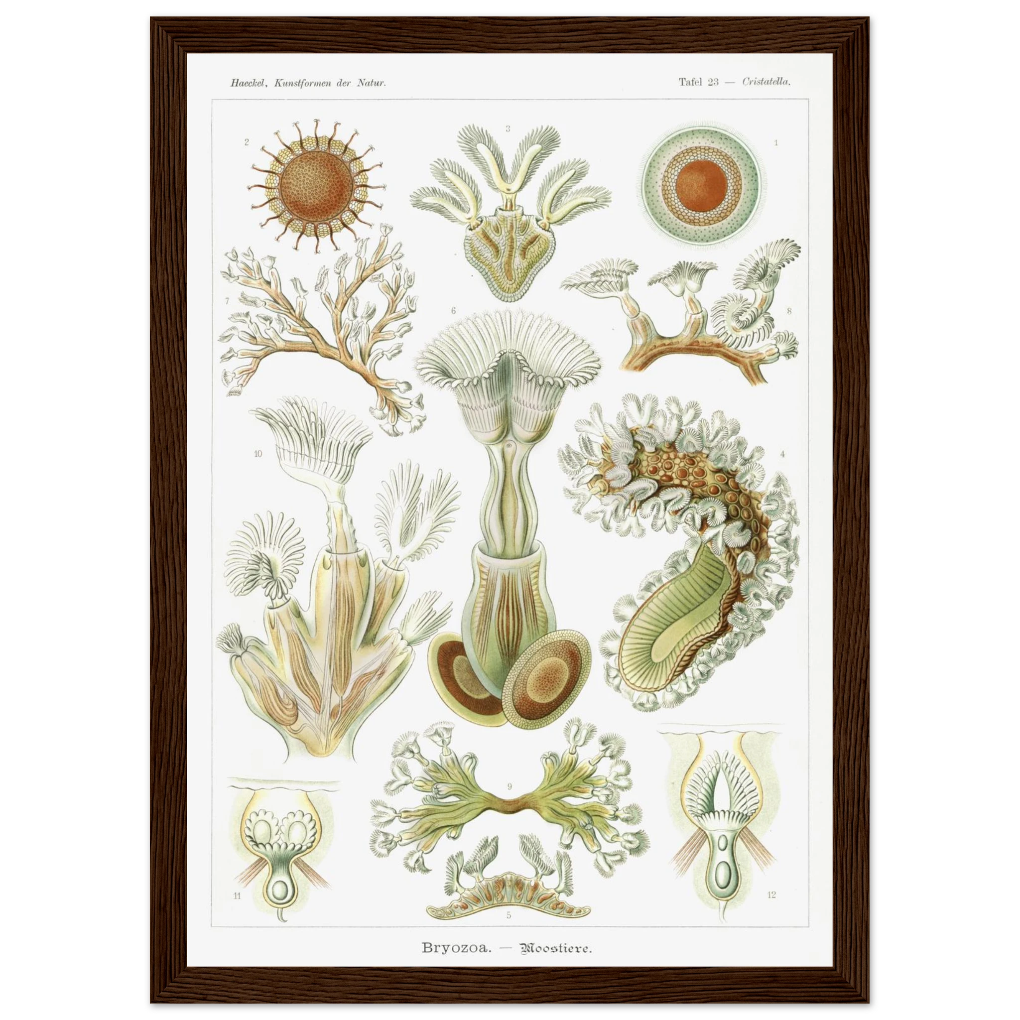 254eb3bf-35b2-4245-86bd-c1b95bcac5ee