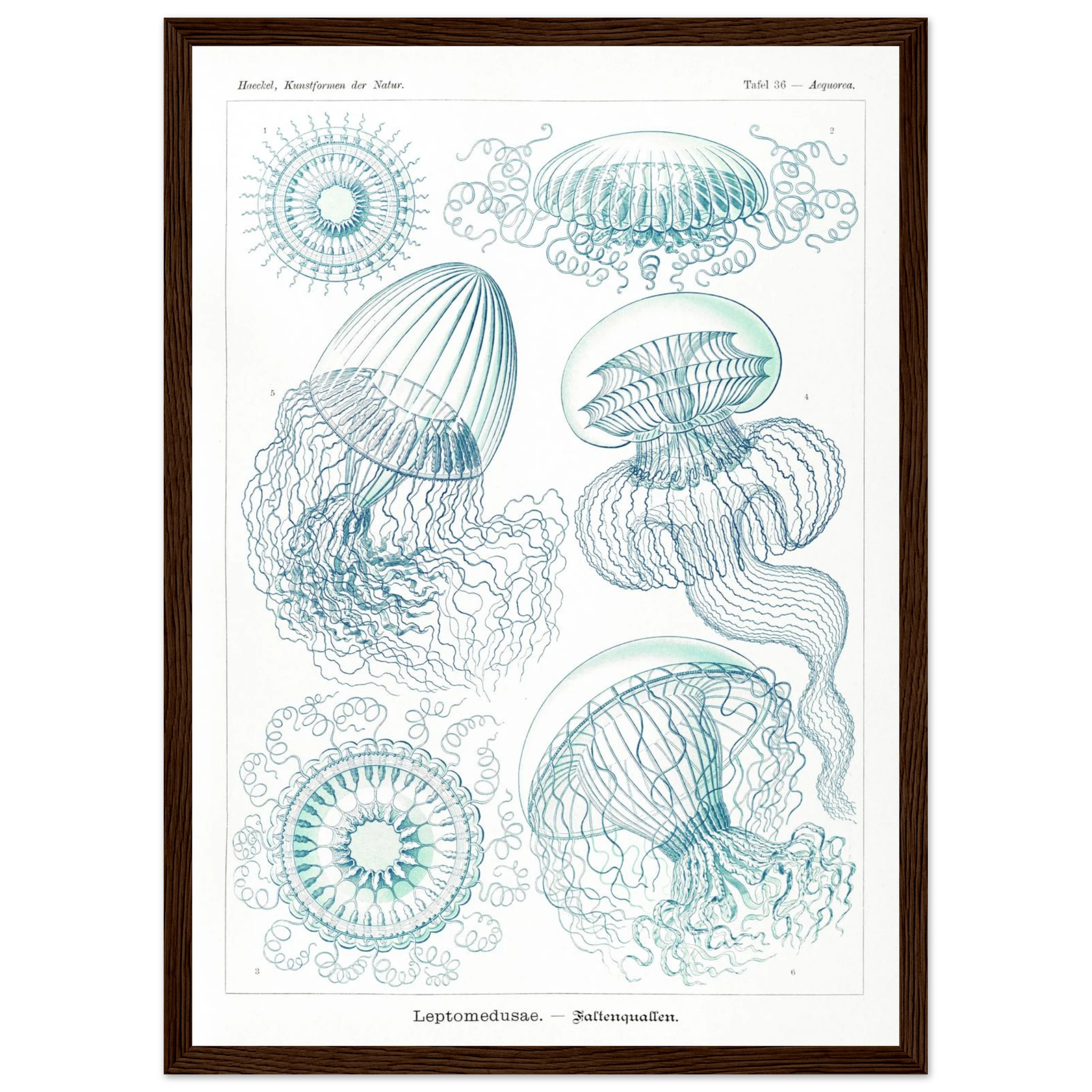 257d9c26-2fd0-4542-adae-0451a7fd704b