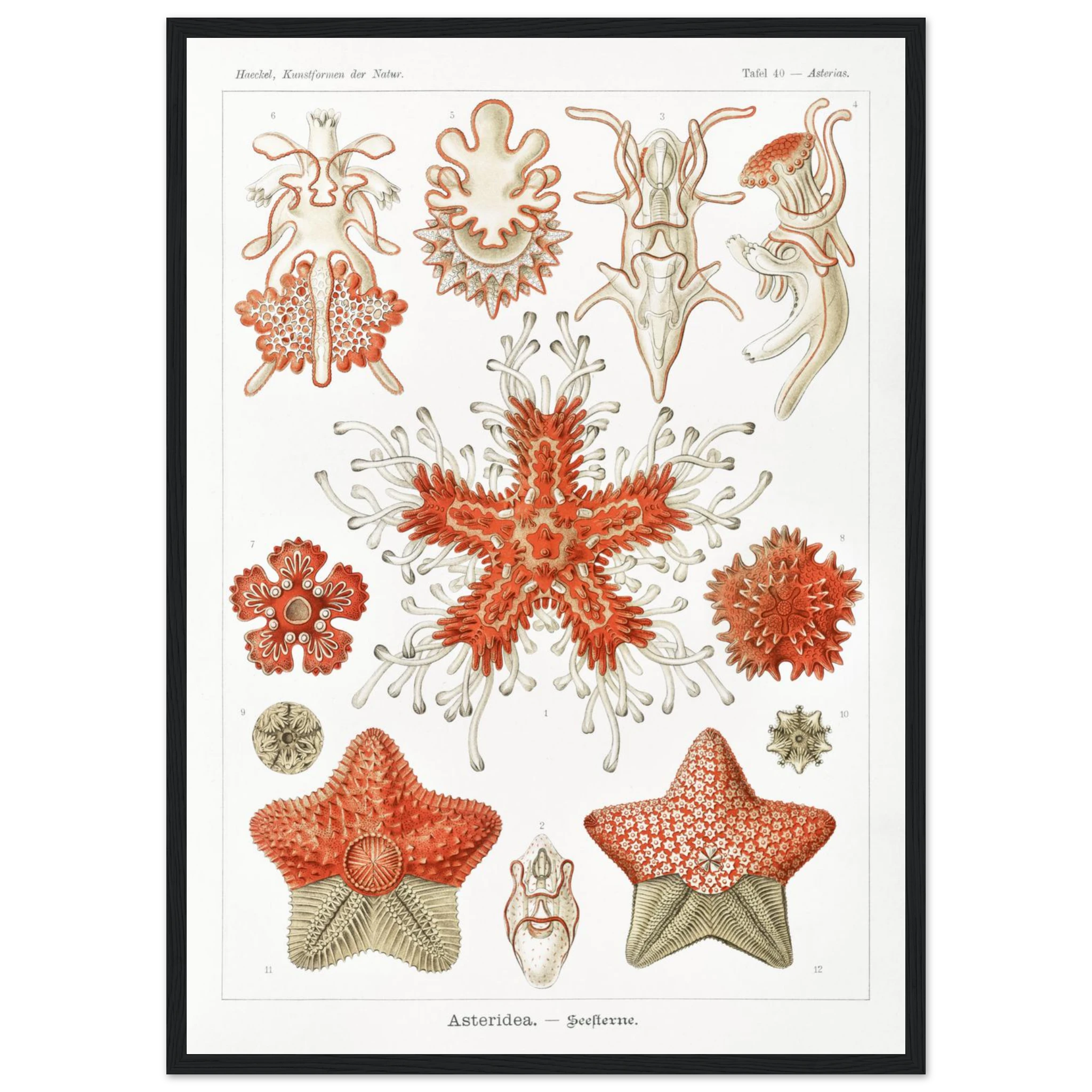 258de9d6-39fe-4c37-8f9b-689c7c0d9272