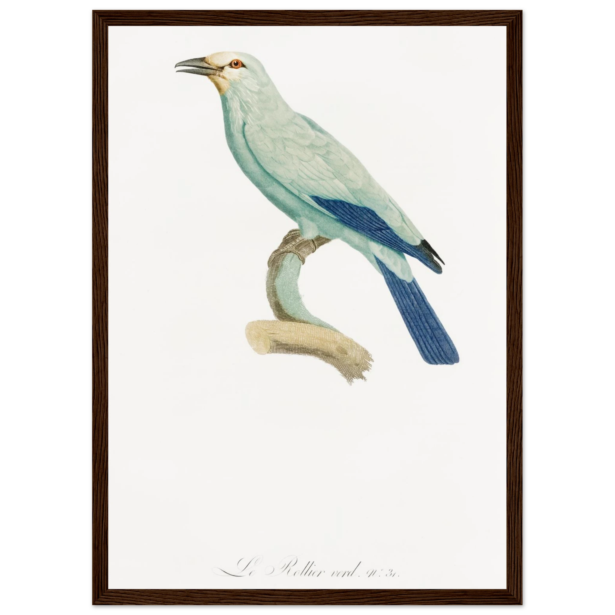 25c14624-480c-4997-b7b3-cfbd3e4d39f9