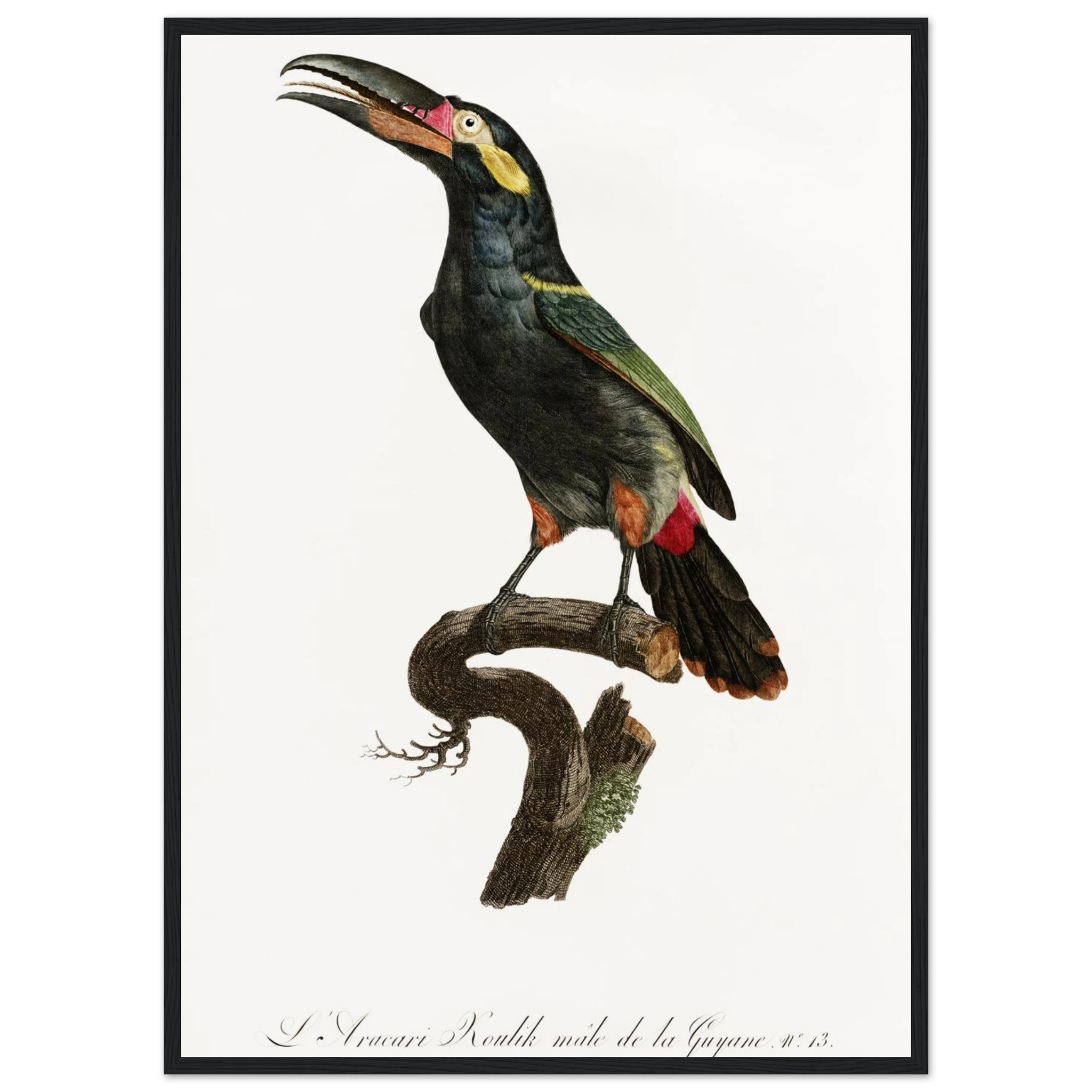 25e2ff32-ba89-43e4-bfdf-556846fe69c4