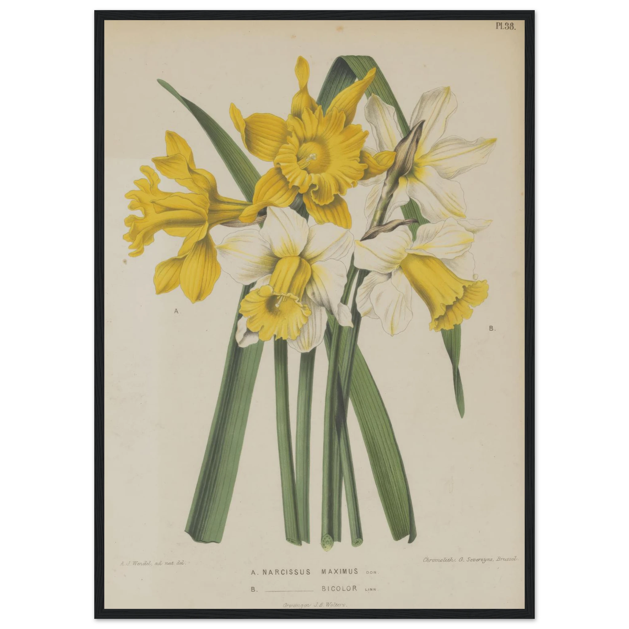 25eaf472-5d97-469a-99f1-8d12838d5e4c