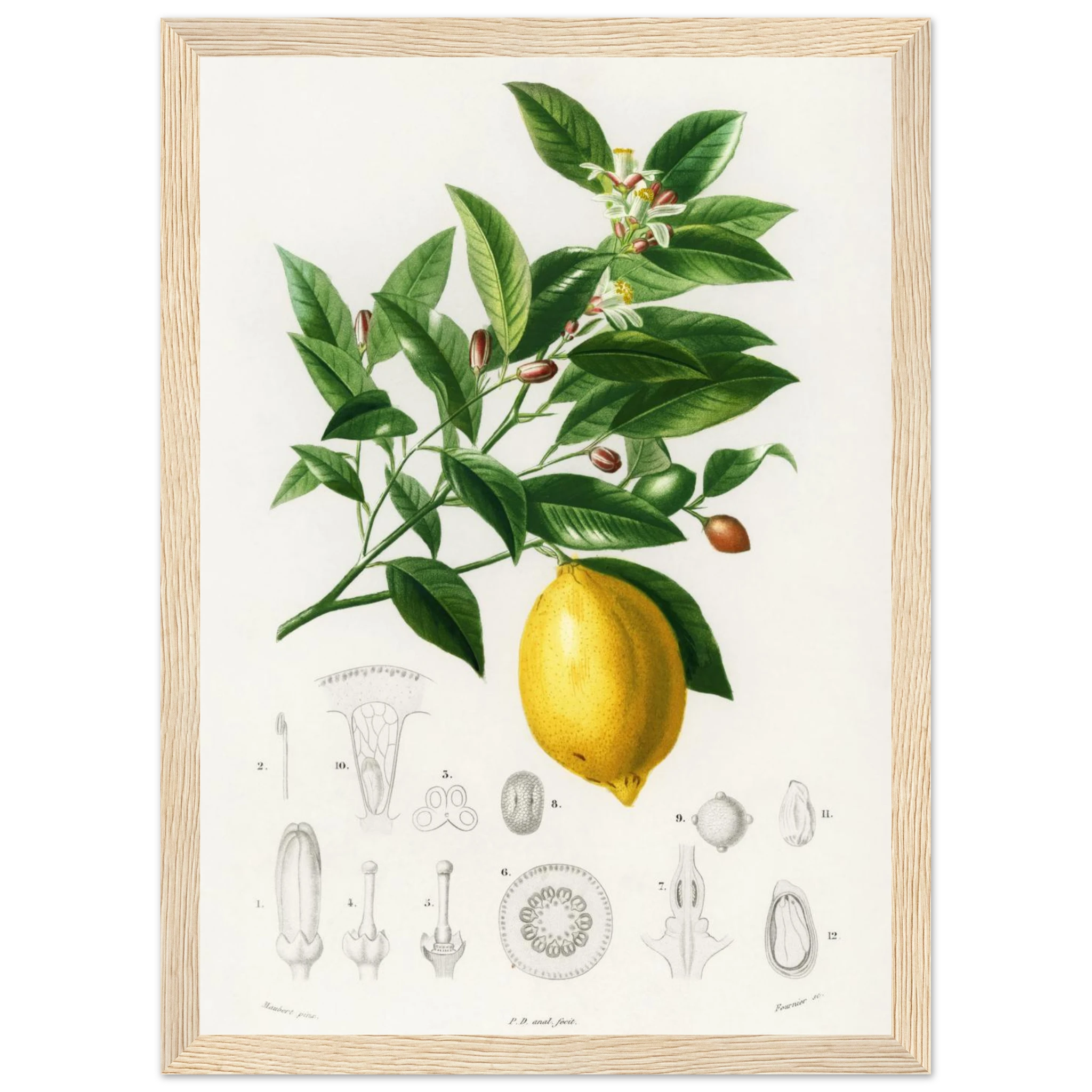 266444ab-5e8f-4eef-9456-472c6db198ed