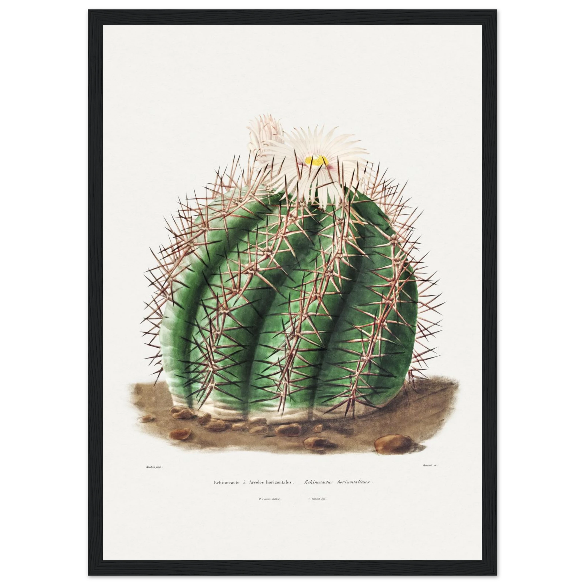 266ea1e7-882b-4409-b584-31817f25d647