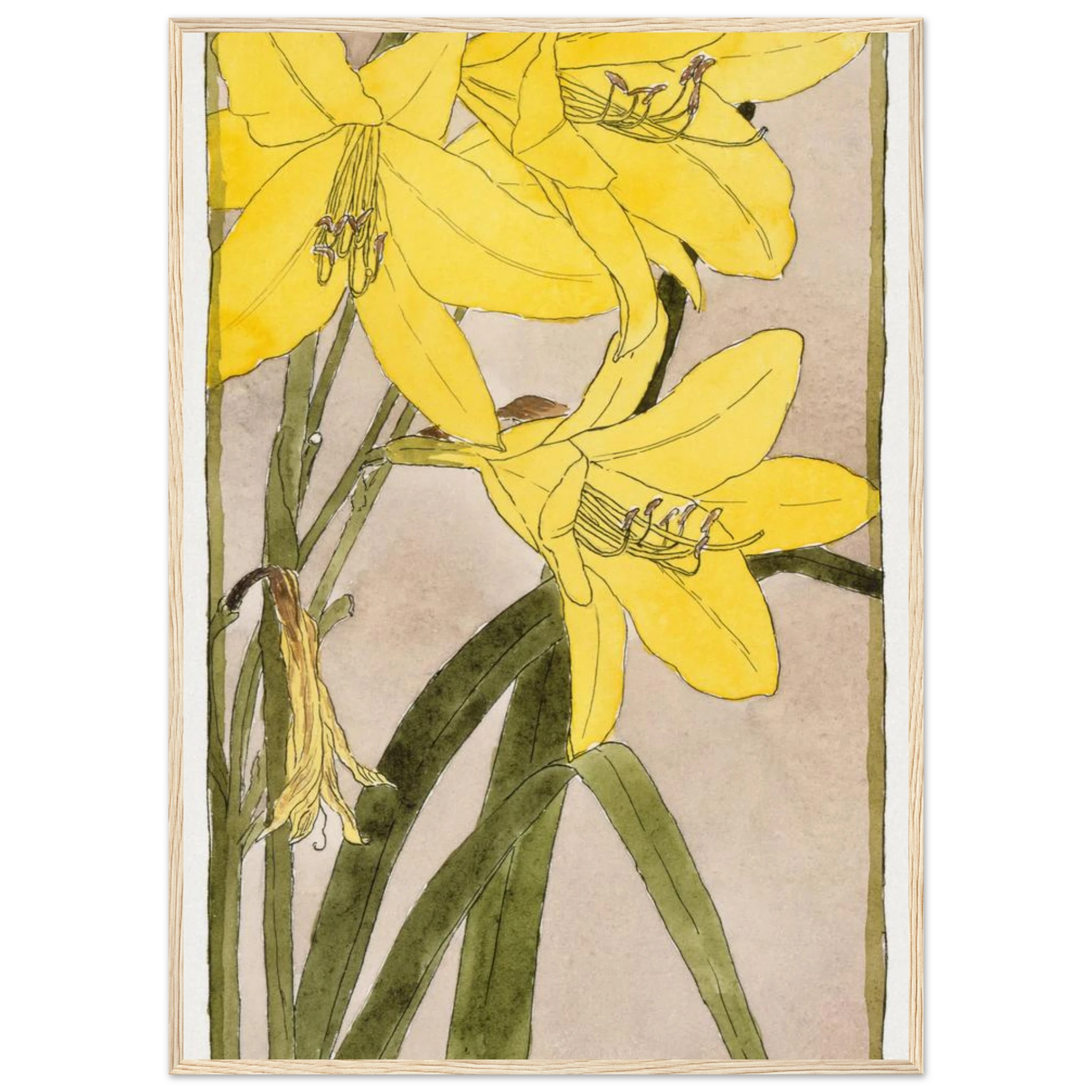 267e2893-c6f5-4b71-ae69-de9de7230615