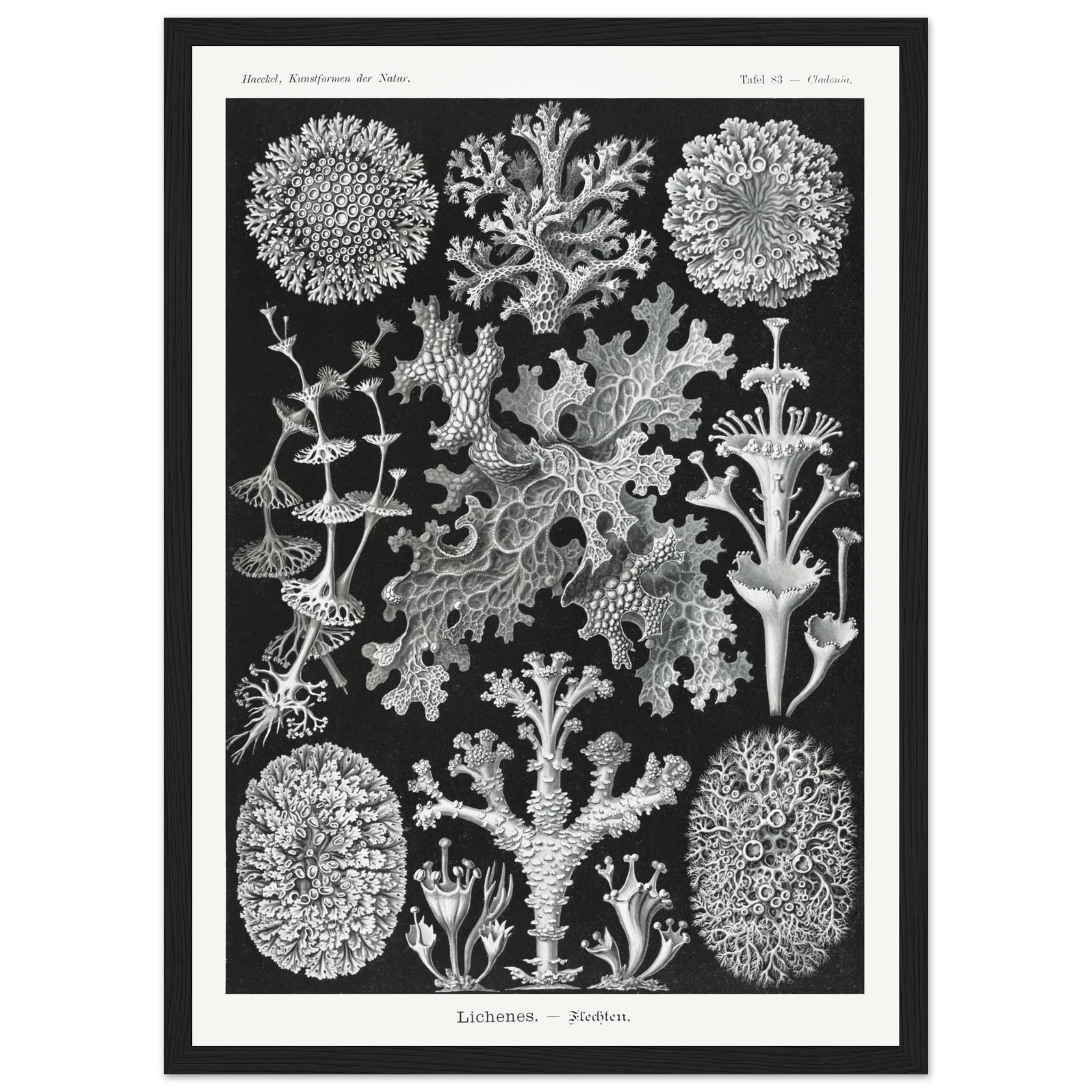 26bd8099-0eac-4c48-a88d-2bb759ed5f81