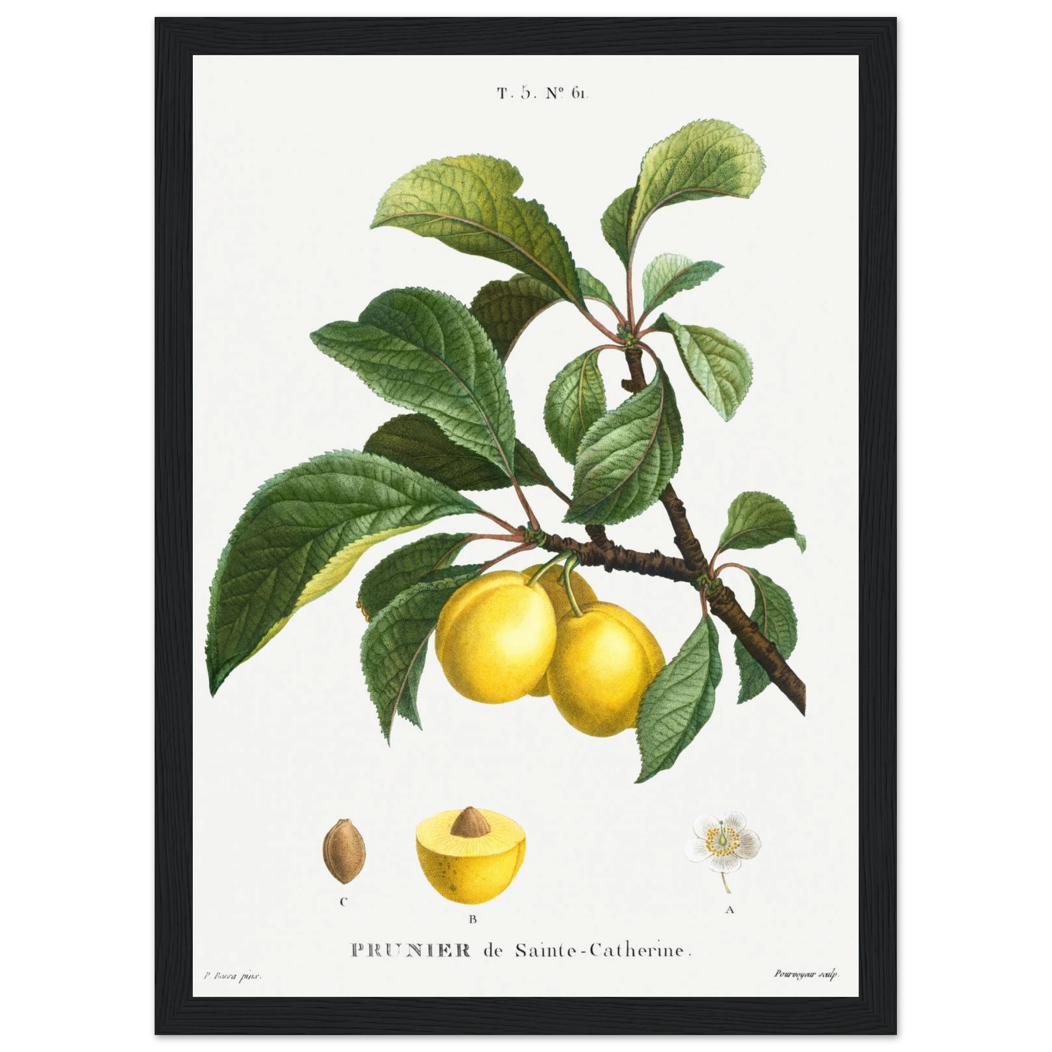 27c68524-6db5-4279-bcf6-f6b1a84a0248