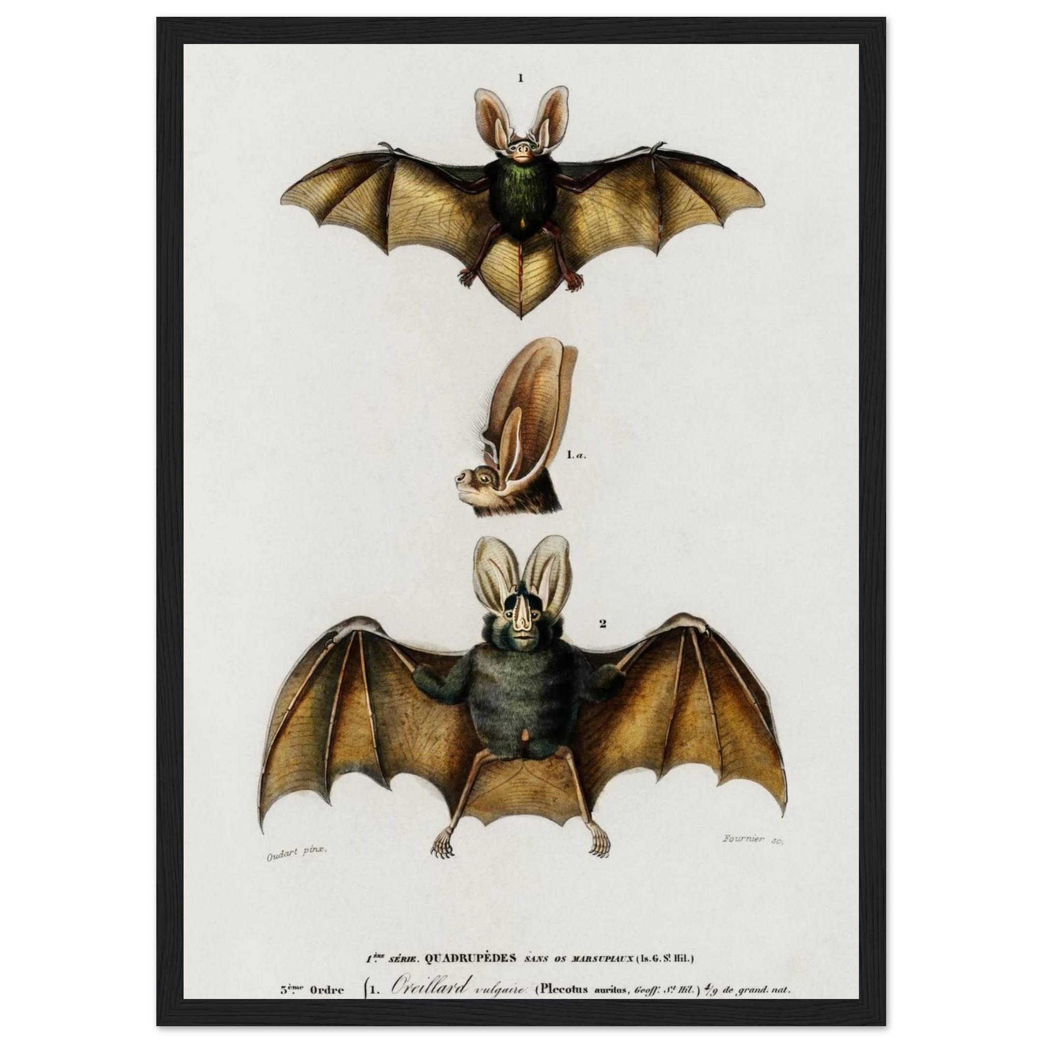 27ef3c5d-82e6-47cb-952a-81ac0c12f007