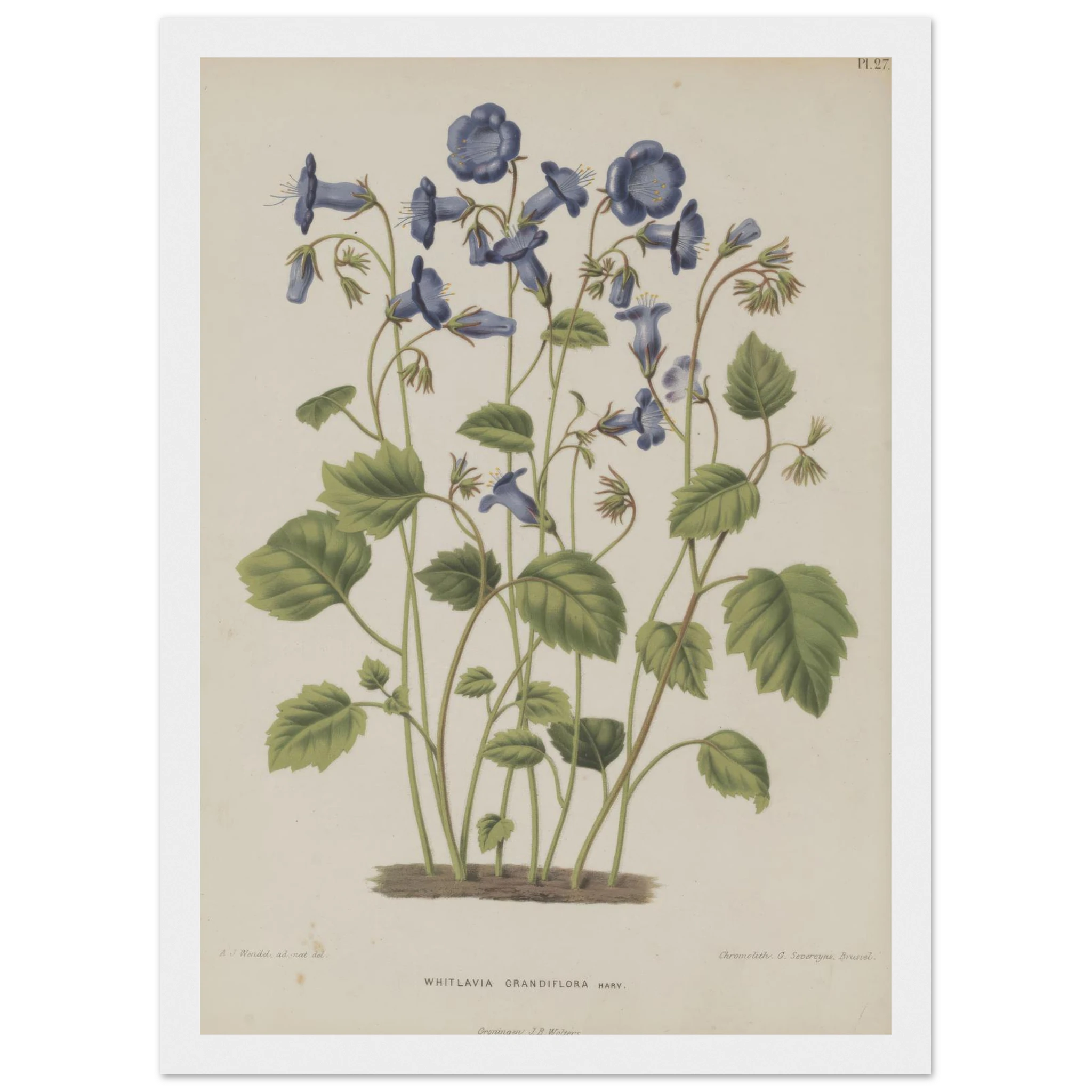 27fd63e3-9636-4c87-988d-80fdc98b4e12