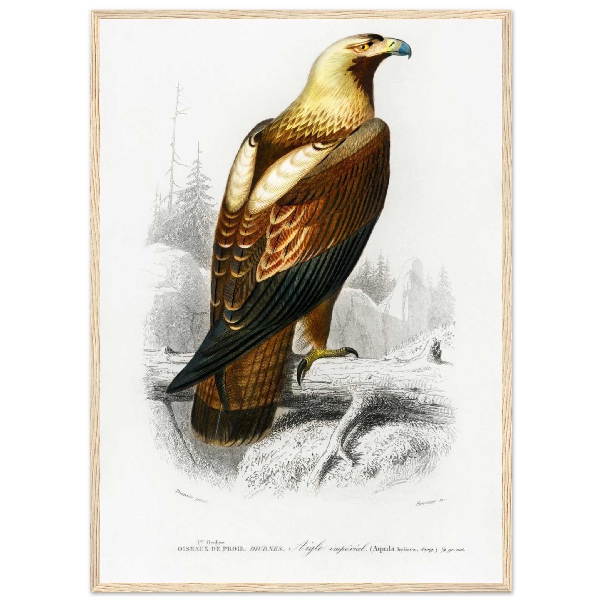 28186765-5036-4eae-9b98-5e761f12c475