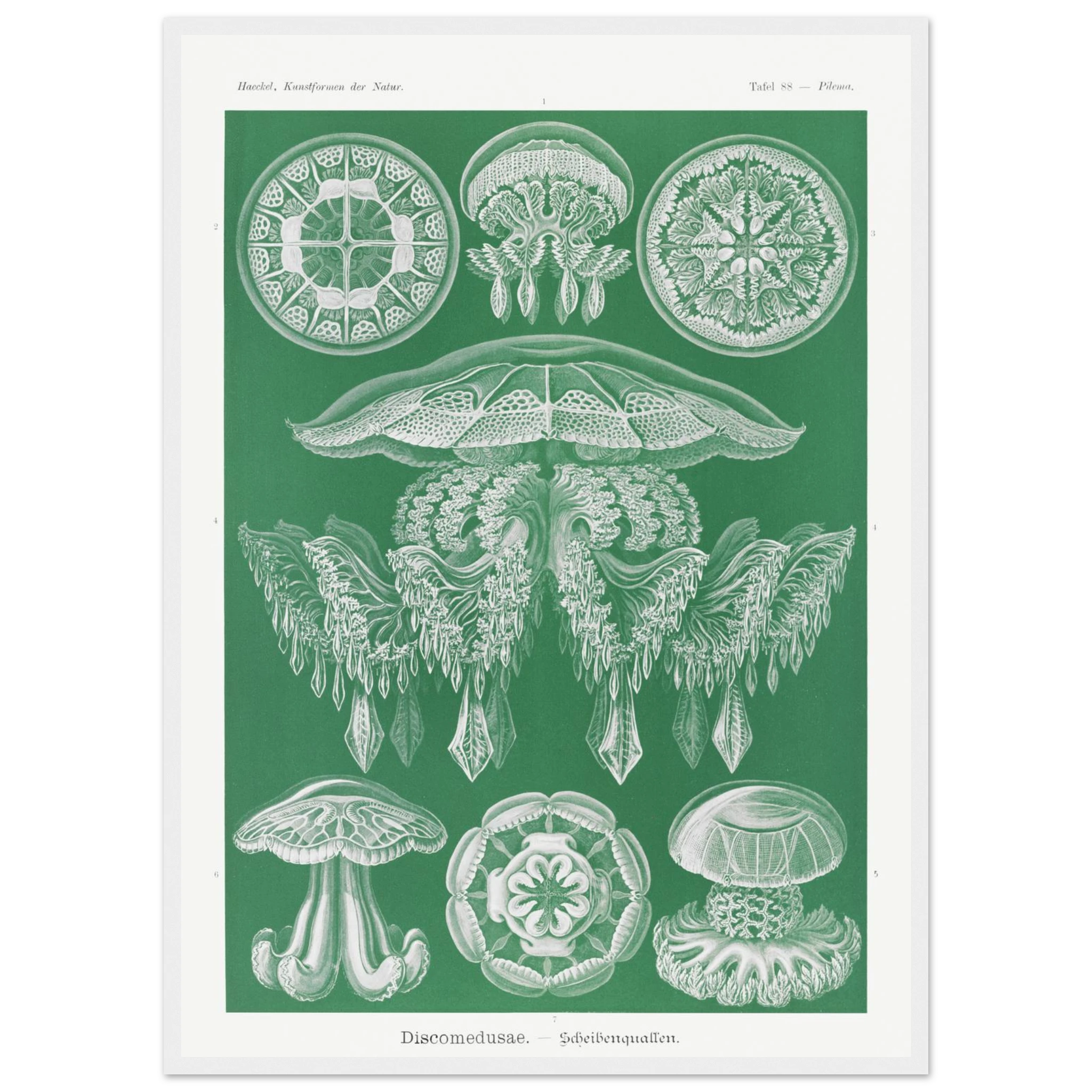 284914d1-a2f8-4241-aaf4-5d4d42166f58