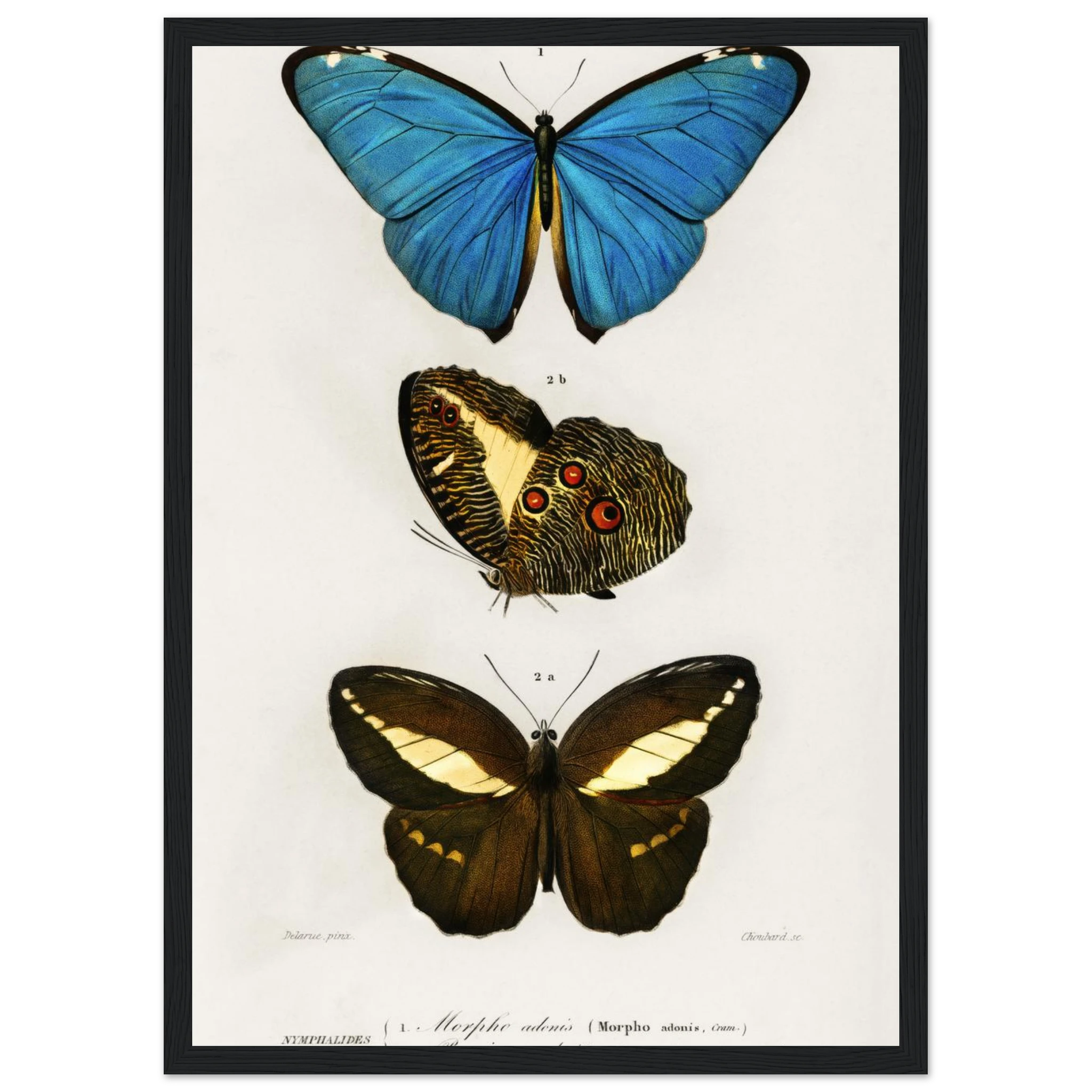 28720d77-702b-4097-a31b-a809dc0e2050