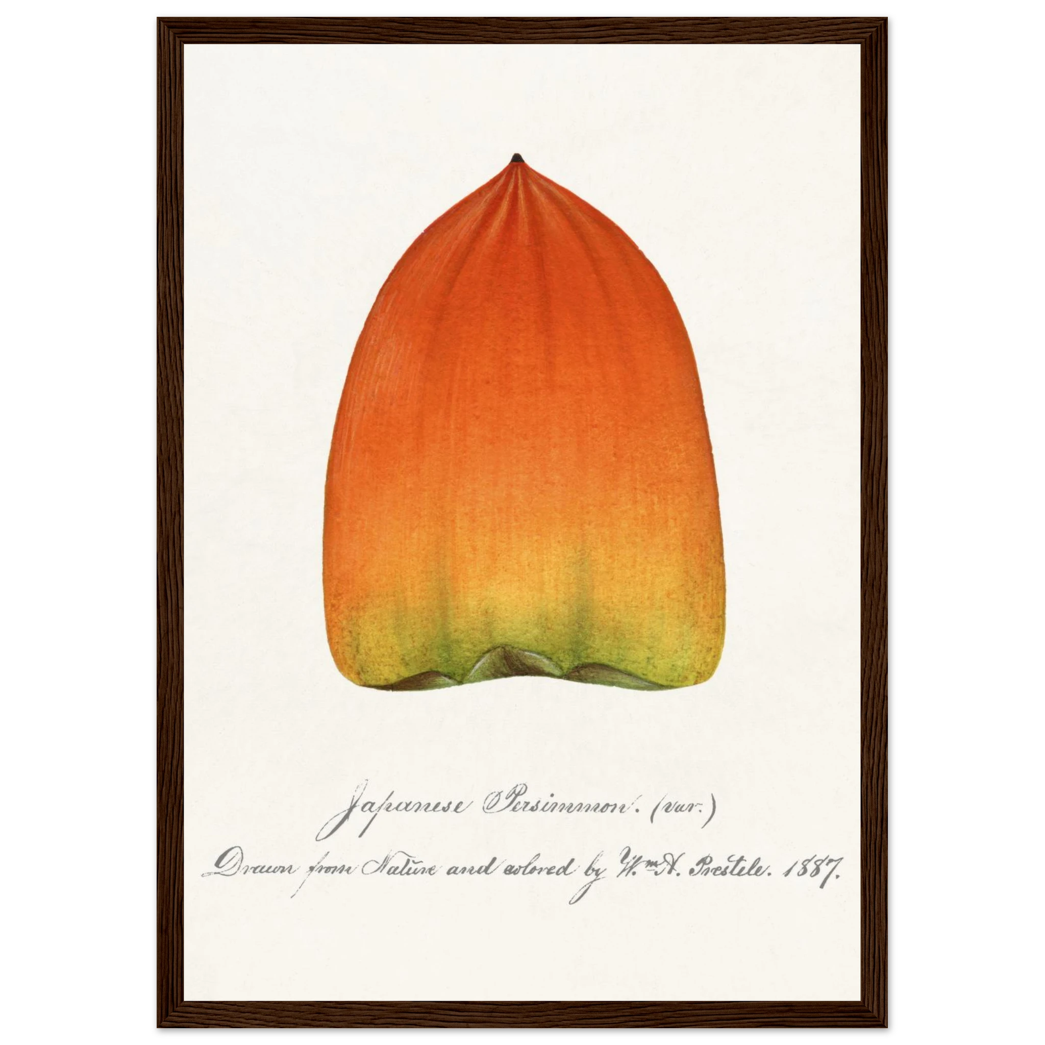 28a69b07-384d-4e9f-8e0d-1dd2c55b8c4e