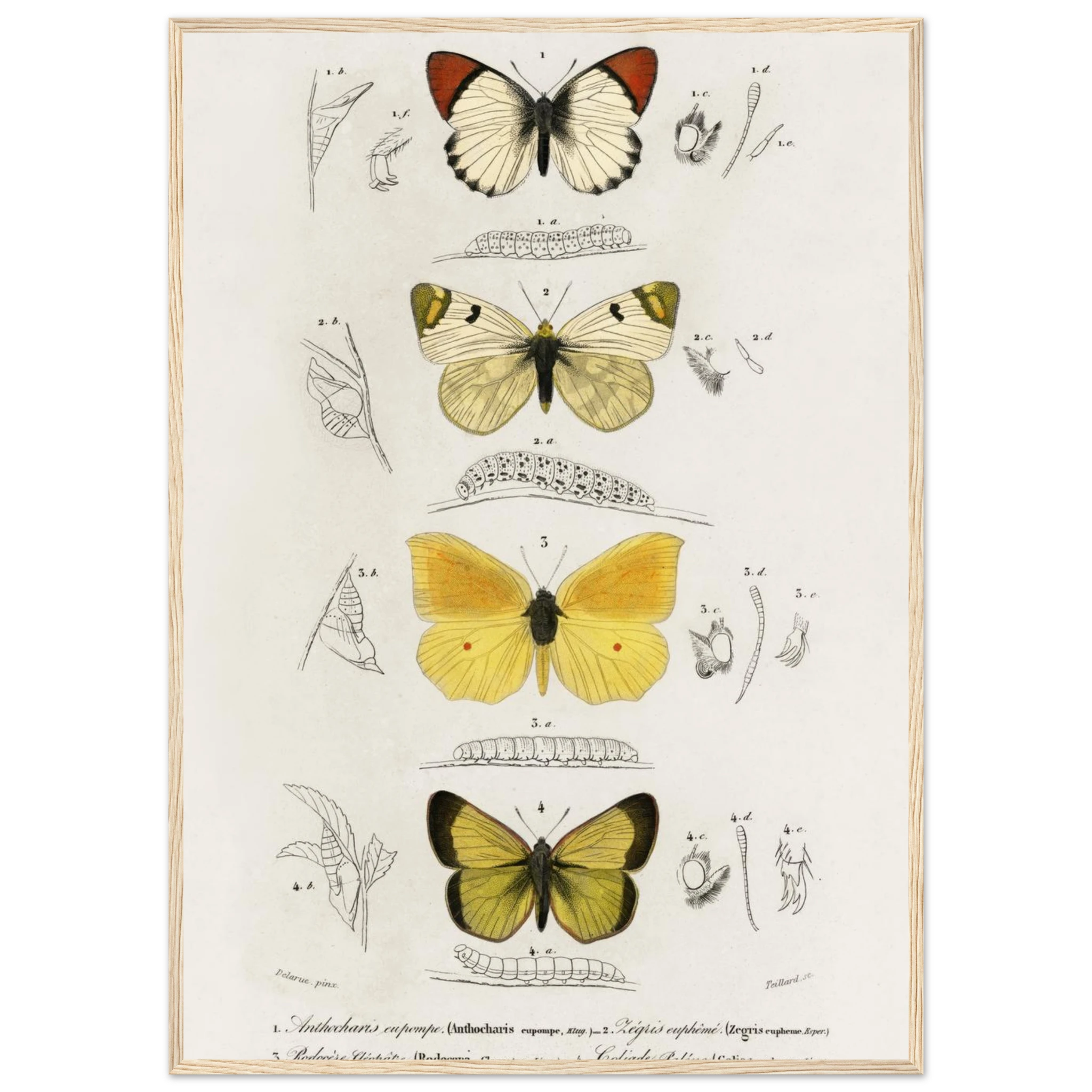 28b842eb-a36e-4a77-9e87-95e0f5817451