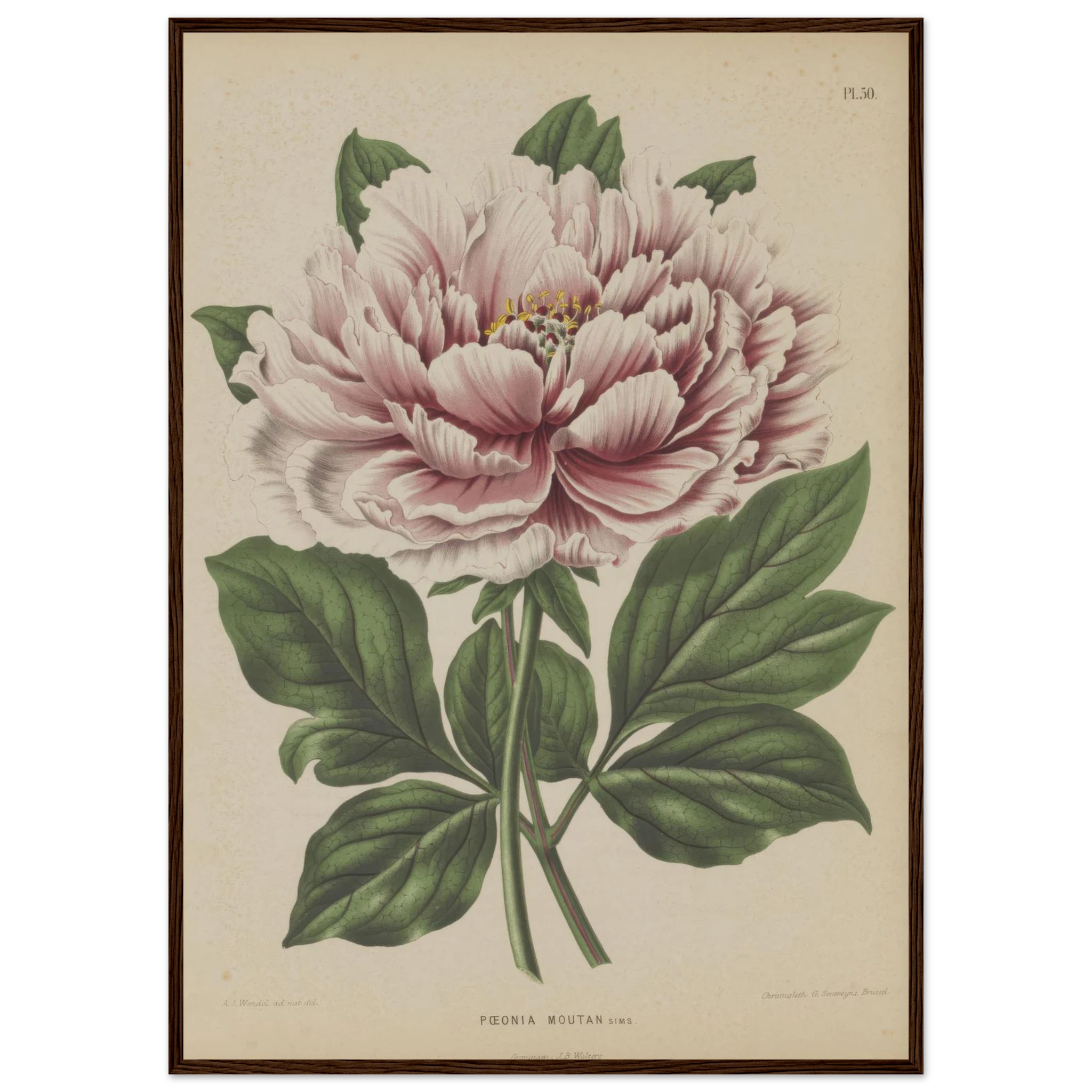 28c0190b-720a-48e4-9c56-f03f1b492cd6