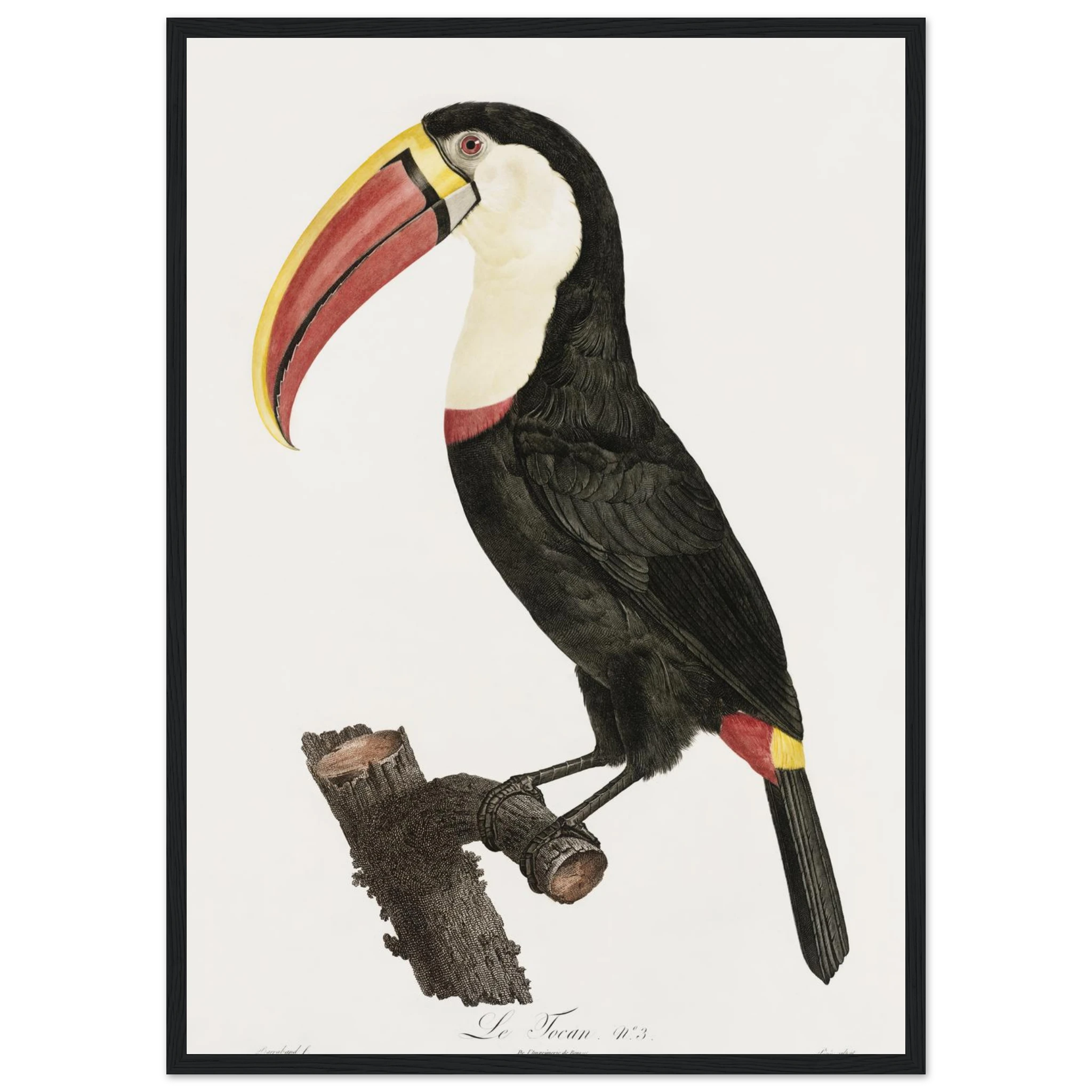 28f2778b-4ca2-4621-ac60-6cca9203c8f5