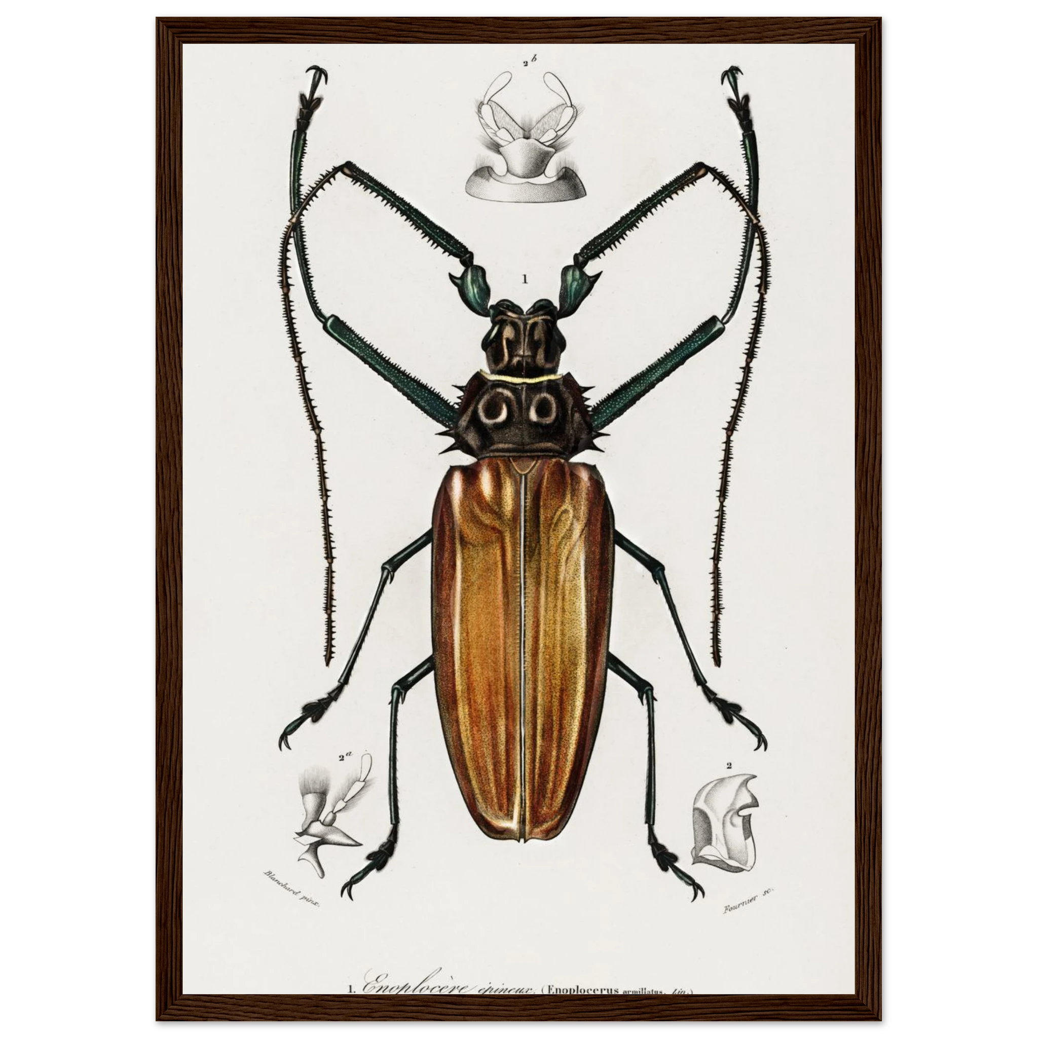 2908de80-ddf5-4f18-aa20-bbc959a763d4