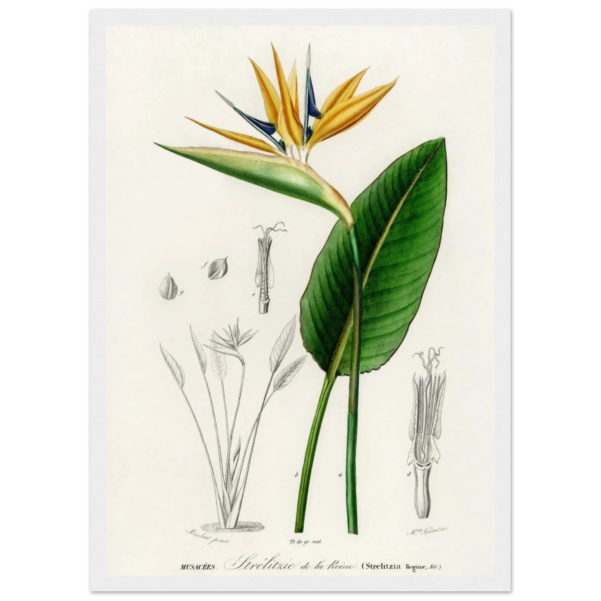 29154b4c-6b7b-429e-9adf-8f5eaaca5318