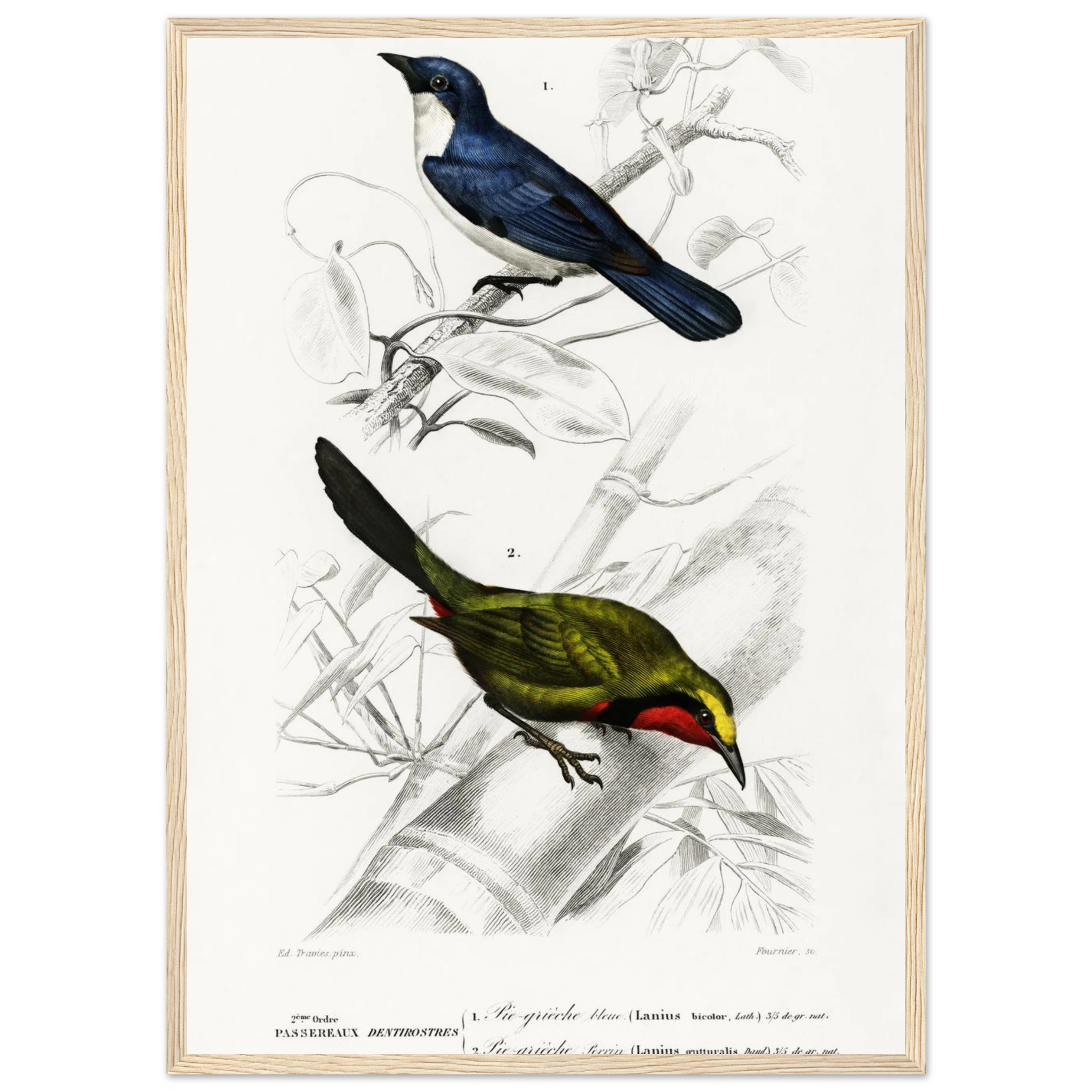 2953da2a-7194-4101-b3ef-1dca7eefa40f