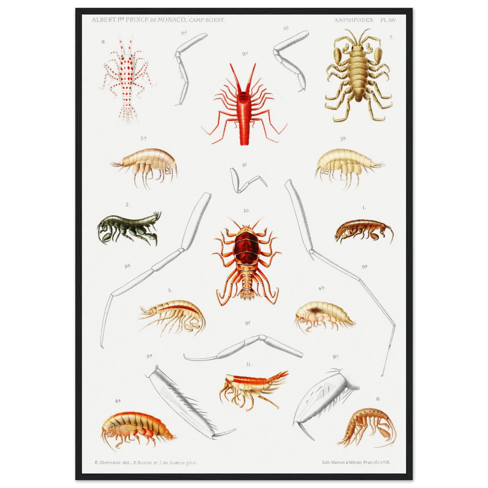 29e686b4-0d8f-4eb6-a971-cb4bc63b9645