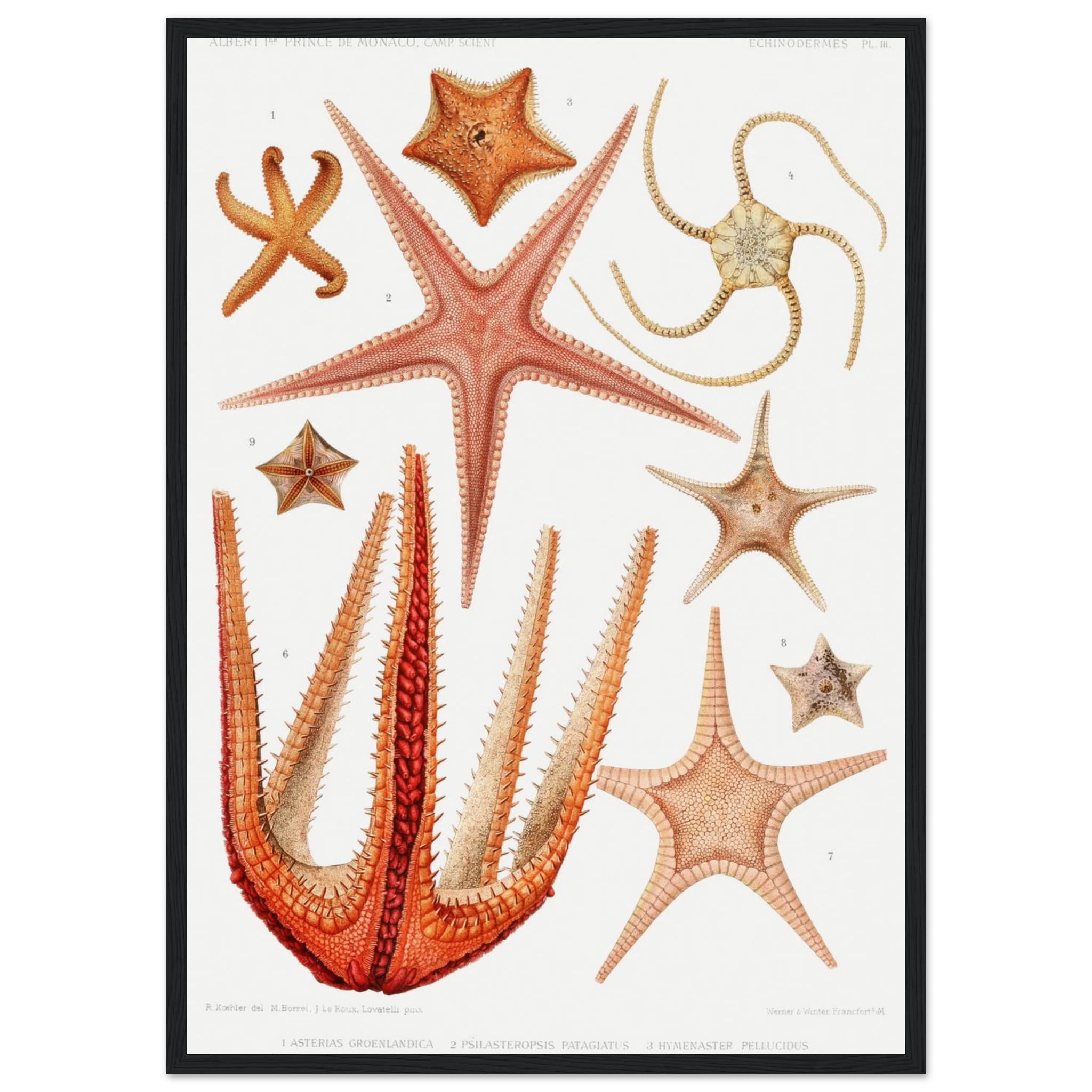 2a022a3c-a978-4b6b-ab71-75a96e61e035