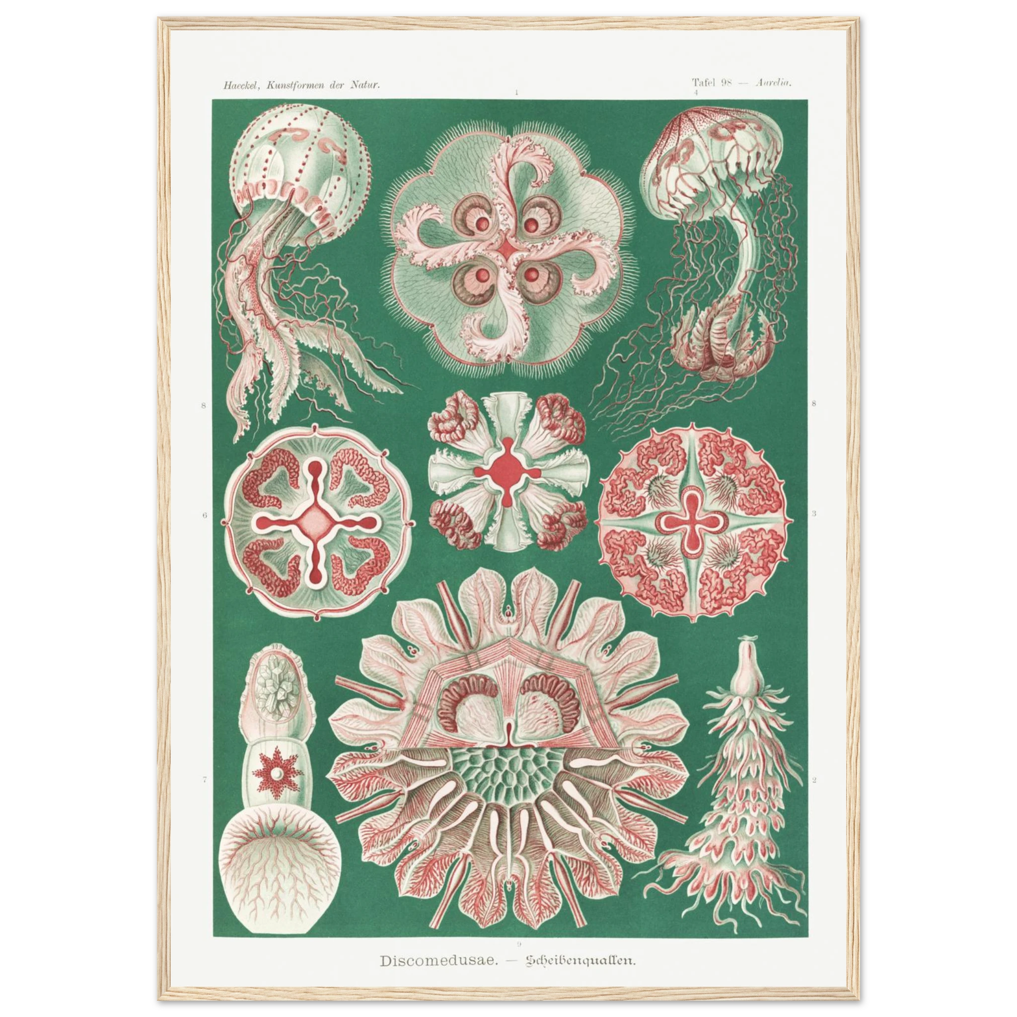 2a5a40ba-4c5c-400f-8241-fbf87f68bfdd