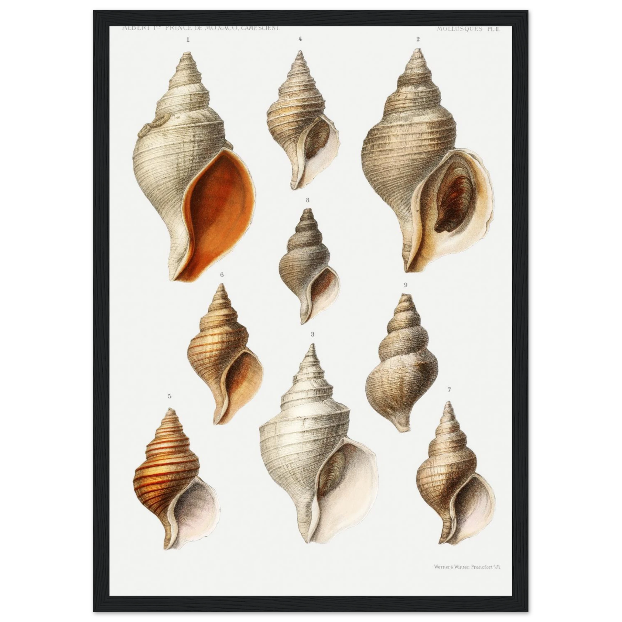 2ac42e42-8ee0-4b1d-bd6d-bd1bcc4e82fd