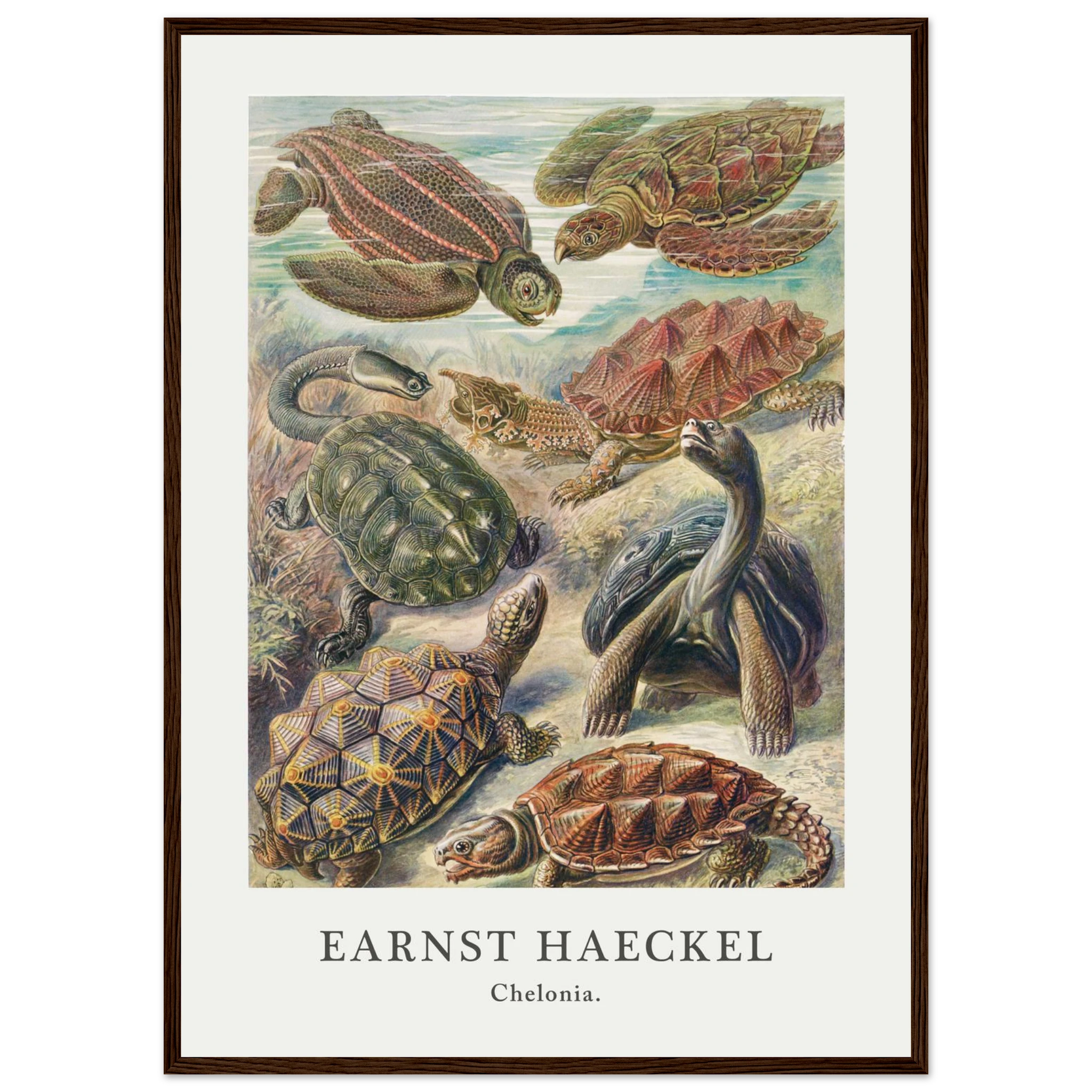 2b819198-1985-4021-9a8e-170cfdaad936