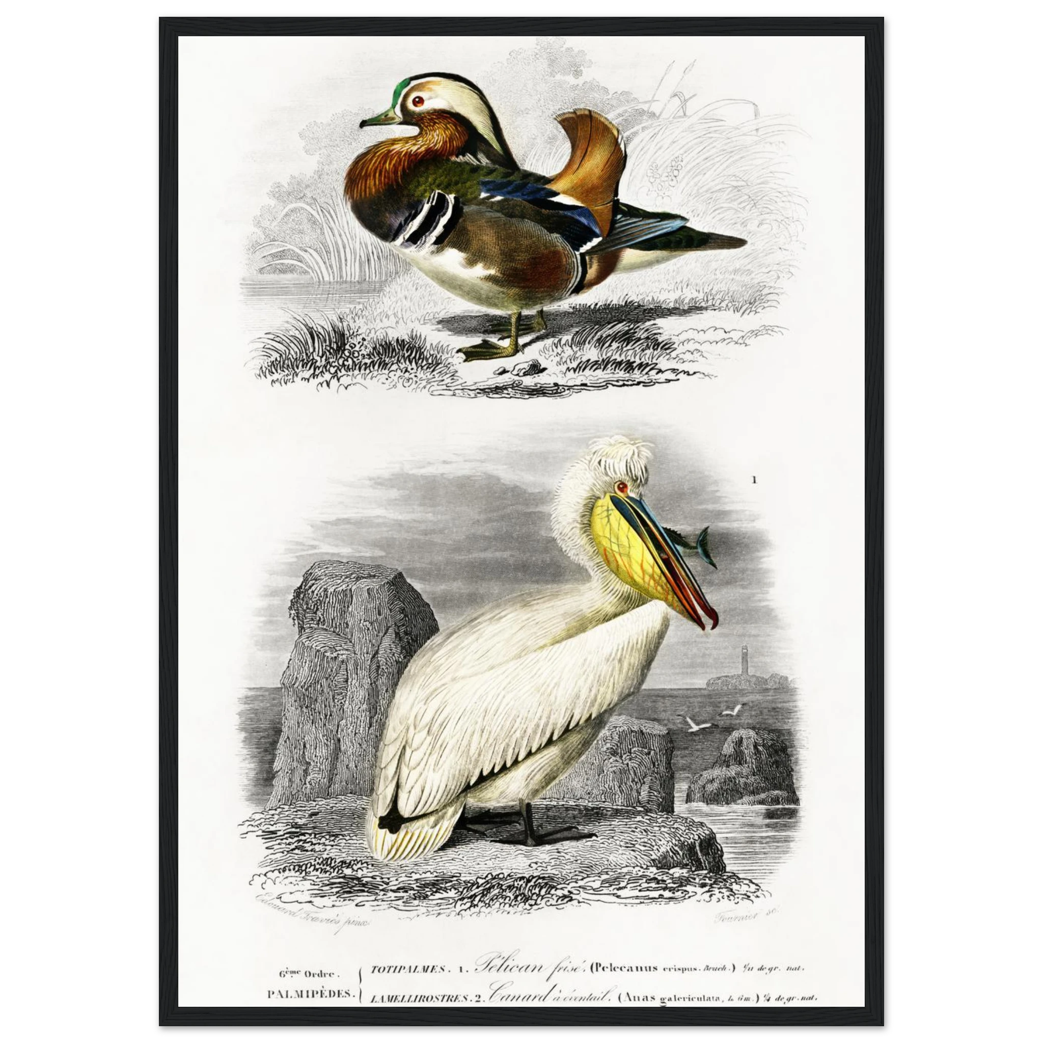 2b84ce2f-a0e5-4117-9781-143c0eca7817