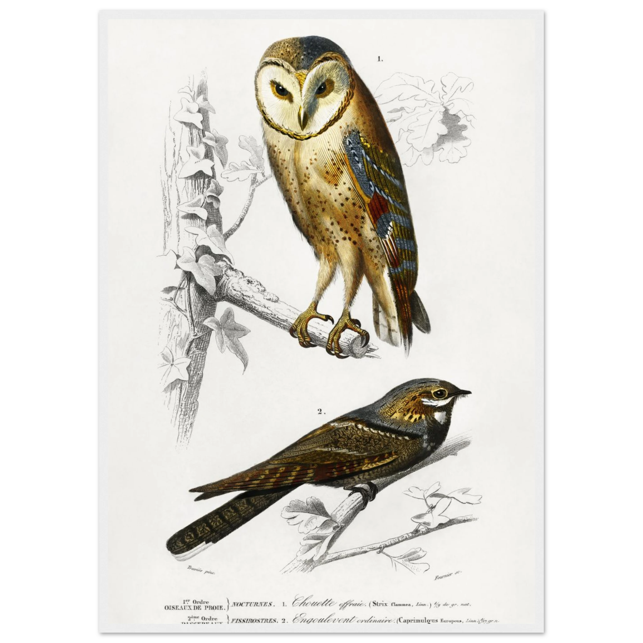 2bb326bc-826a-482d-958c-12c0658f8380