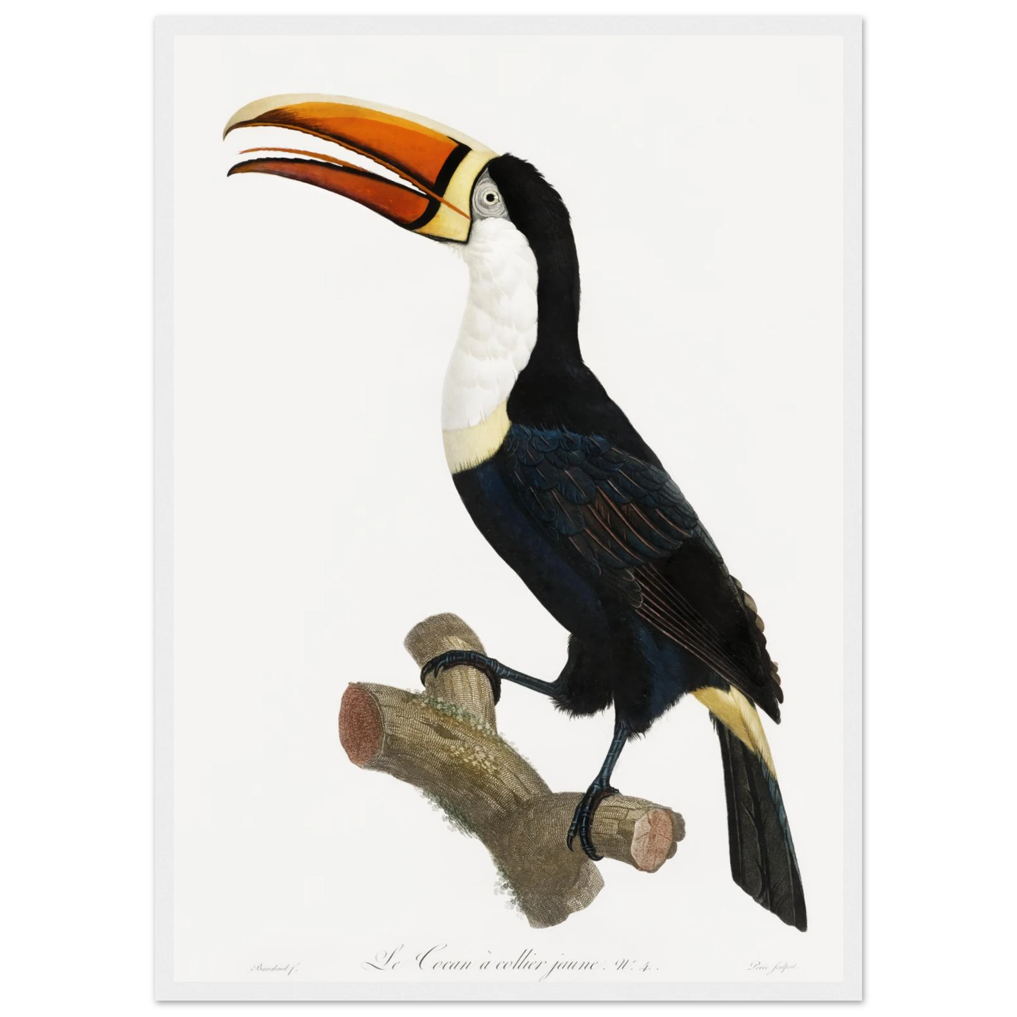 2bbede0b-f72b-40cd-8258-4f9bb3b3742e