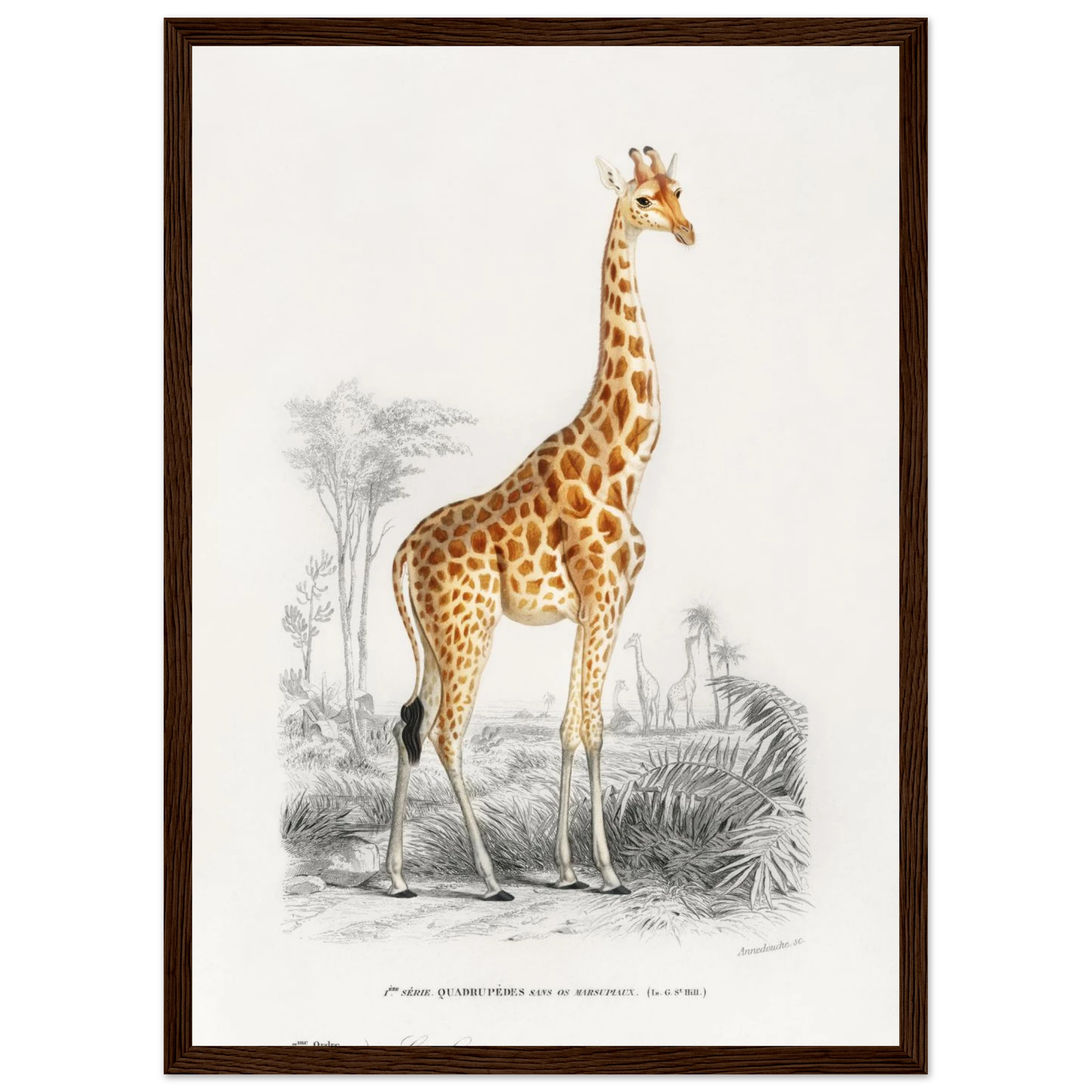 2bc023a7-4c1e-4b2e-bebc-1e1dbc94e348