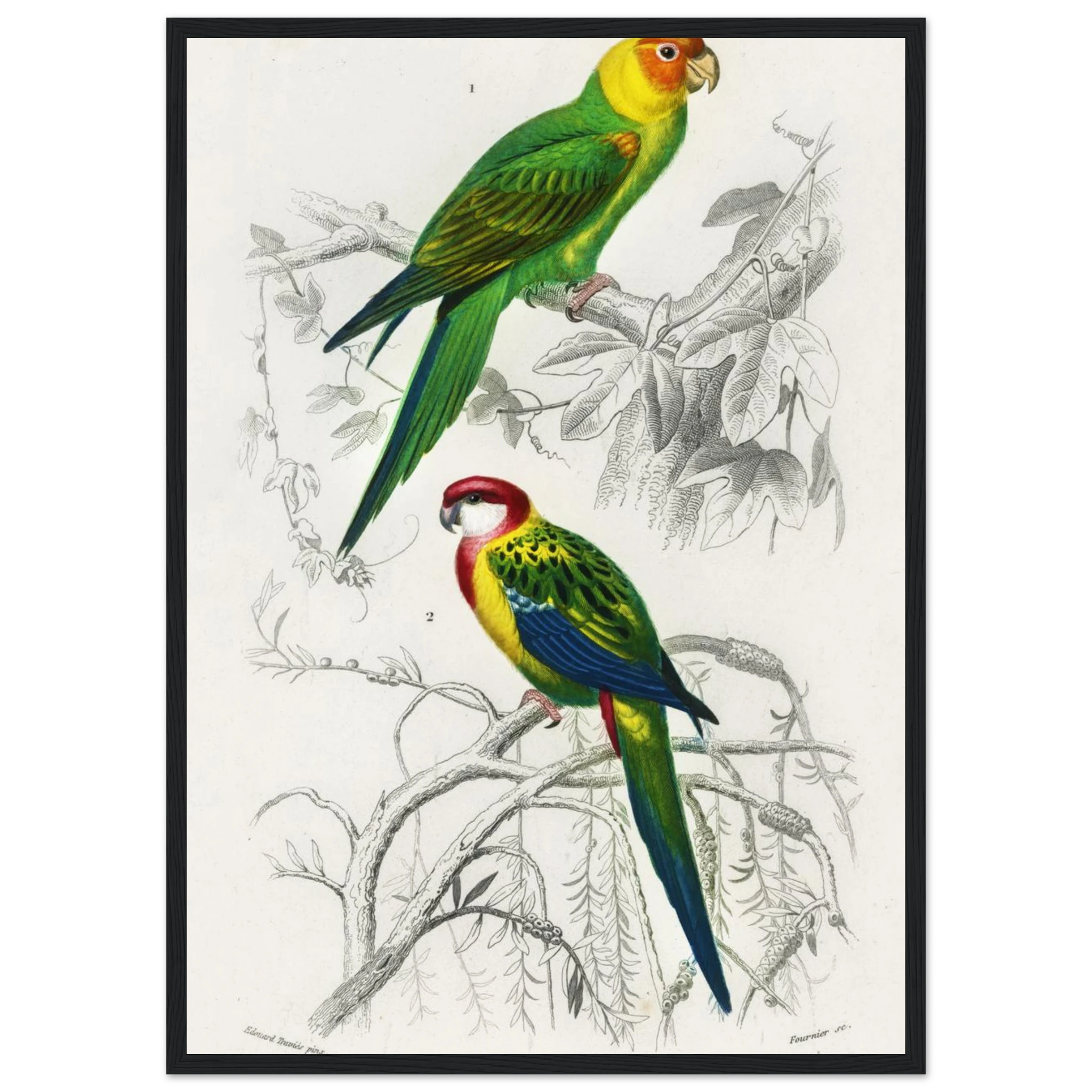 2bffa3c1-b153-4ac2-85a0-da70e56f9d02