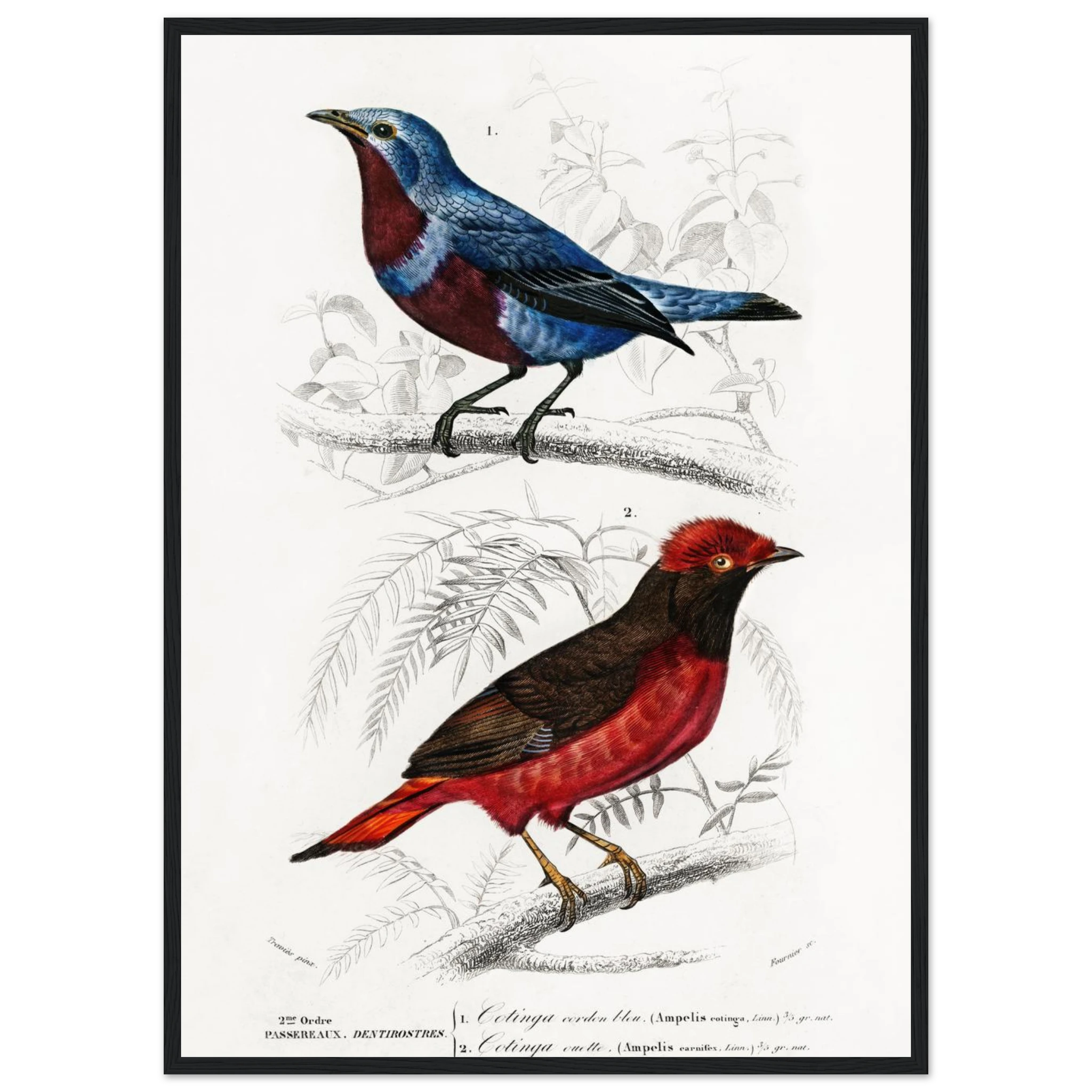 2c08cedf-8742-450e-a6dc-12e171eda102