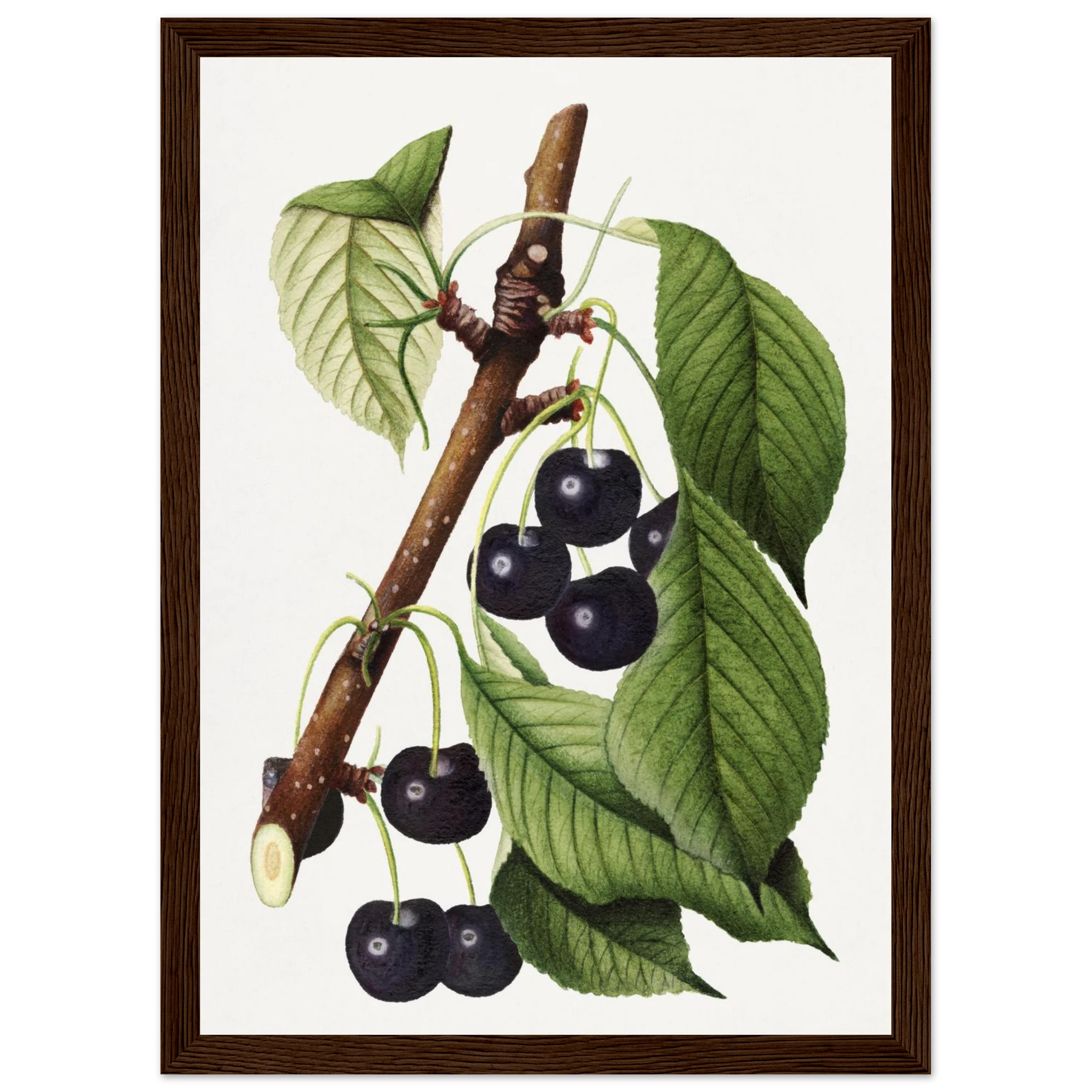 2c2ca3e2-6706-4922-82ad-b4f8d91c3acf