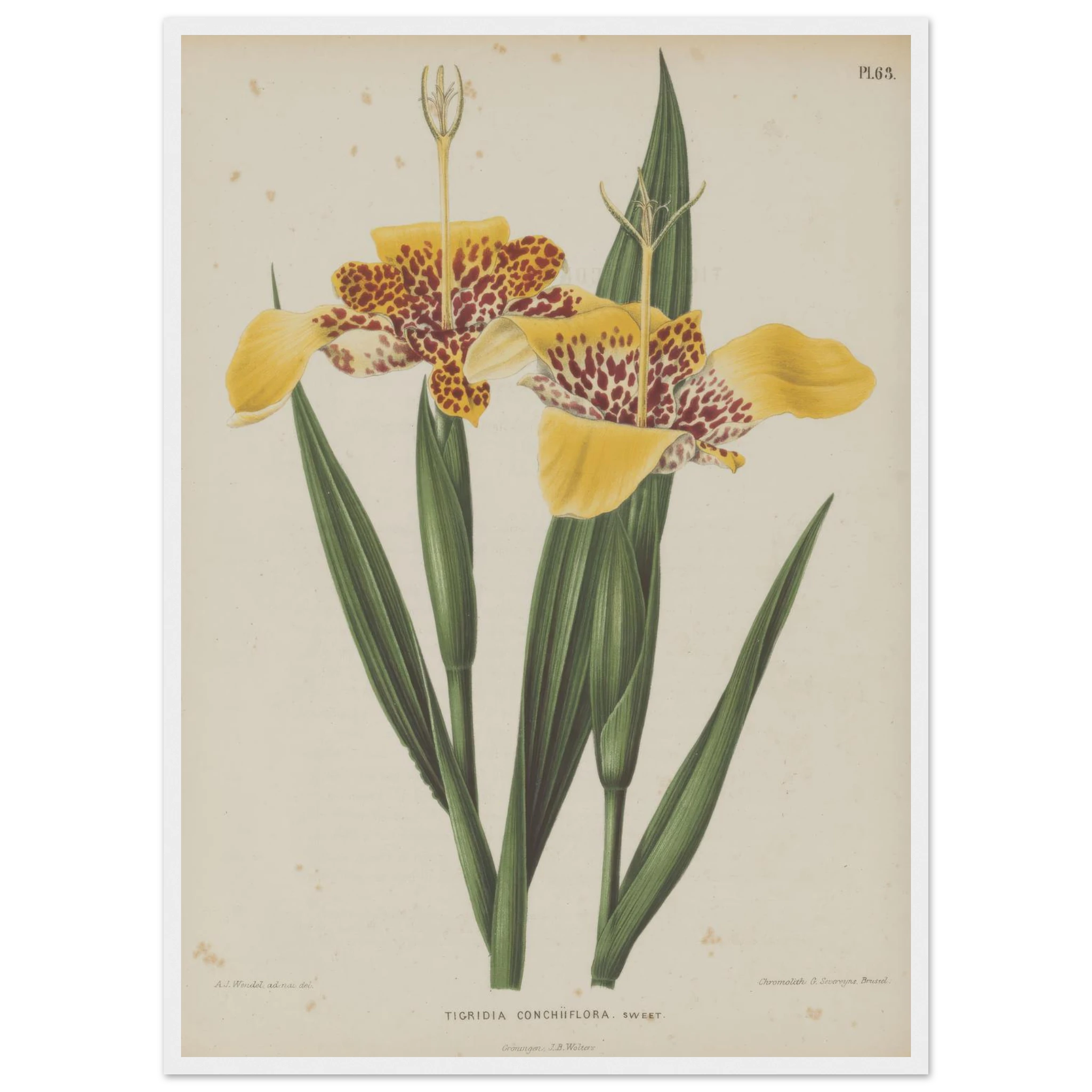 2c2ee922-b559-4cc4-bf48-62f92fca6eab