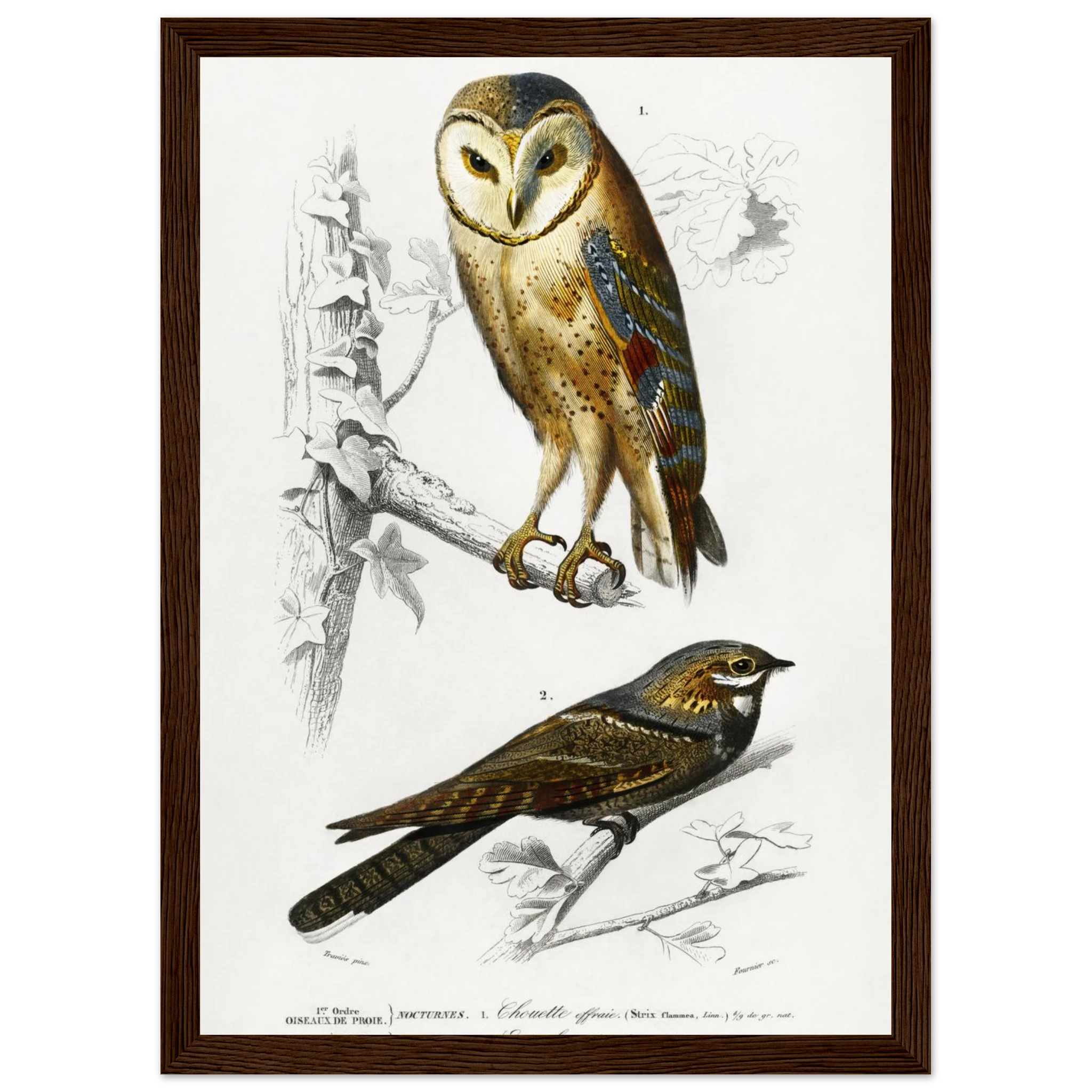 2c3da4d1-e002-4b59-9472-de1b6e635b9d