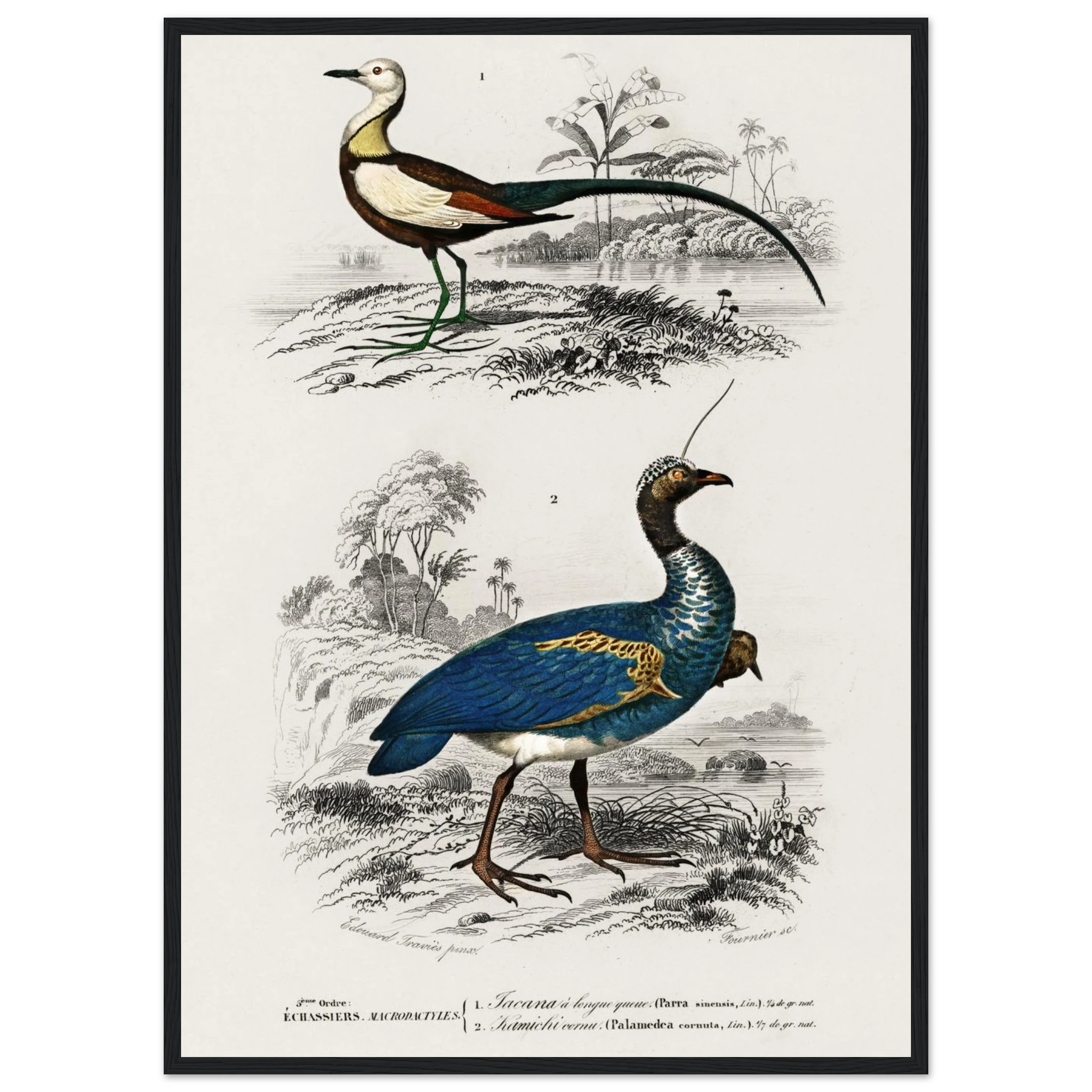 2c565b78-167f-4d61-9e08-3081bc4c9b1c