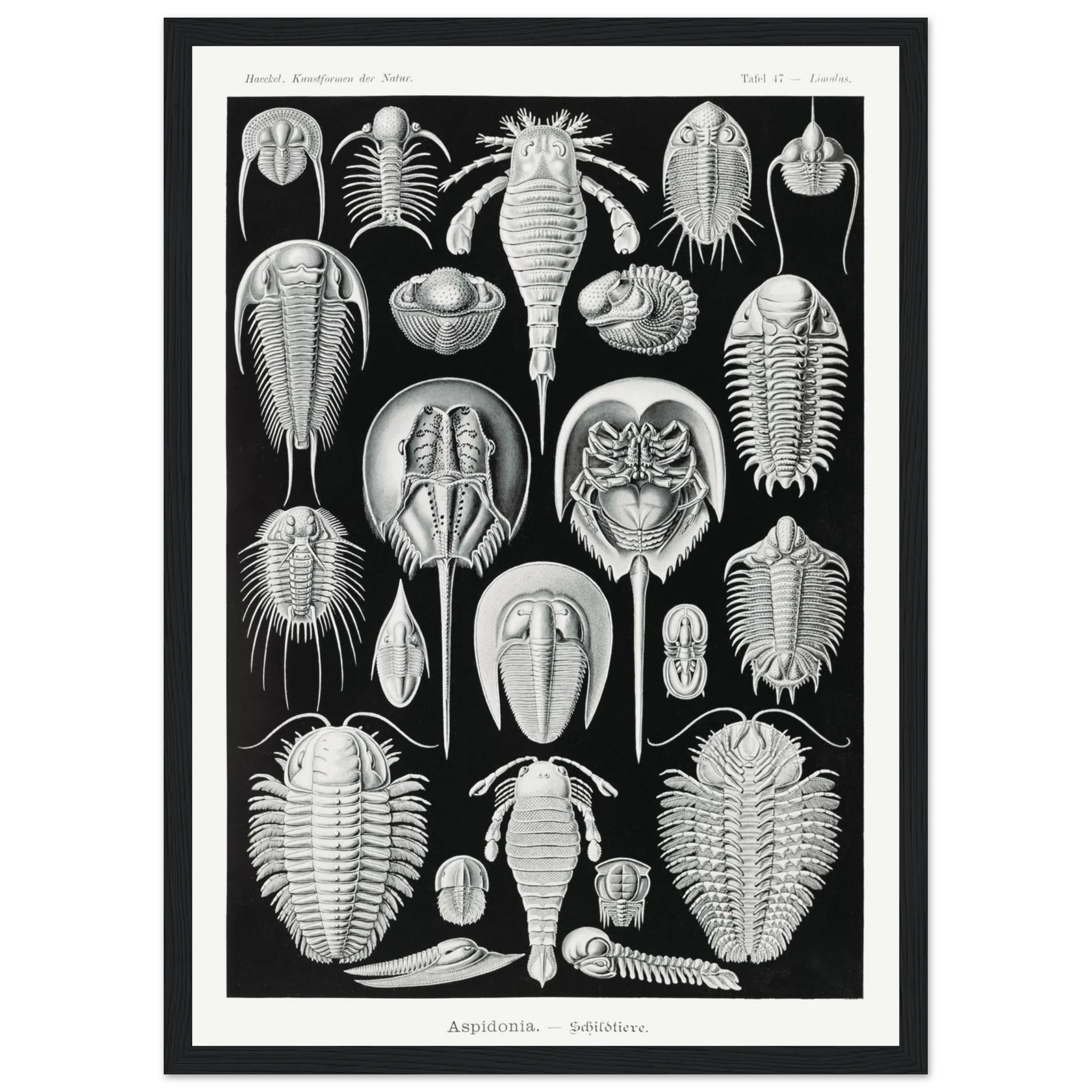 2c56c946-1f68-421a-8e2e-48d23000ca7f