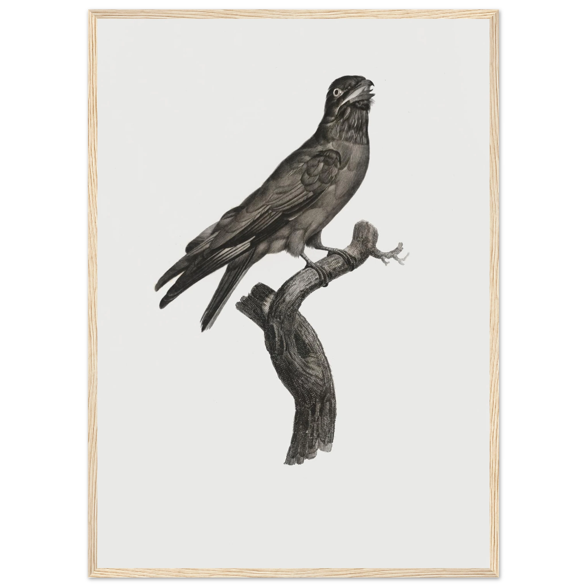 2c795706-b825-4684-b599-f4d86f12491d