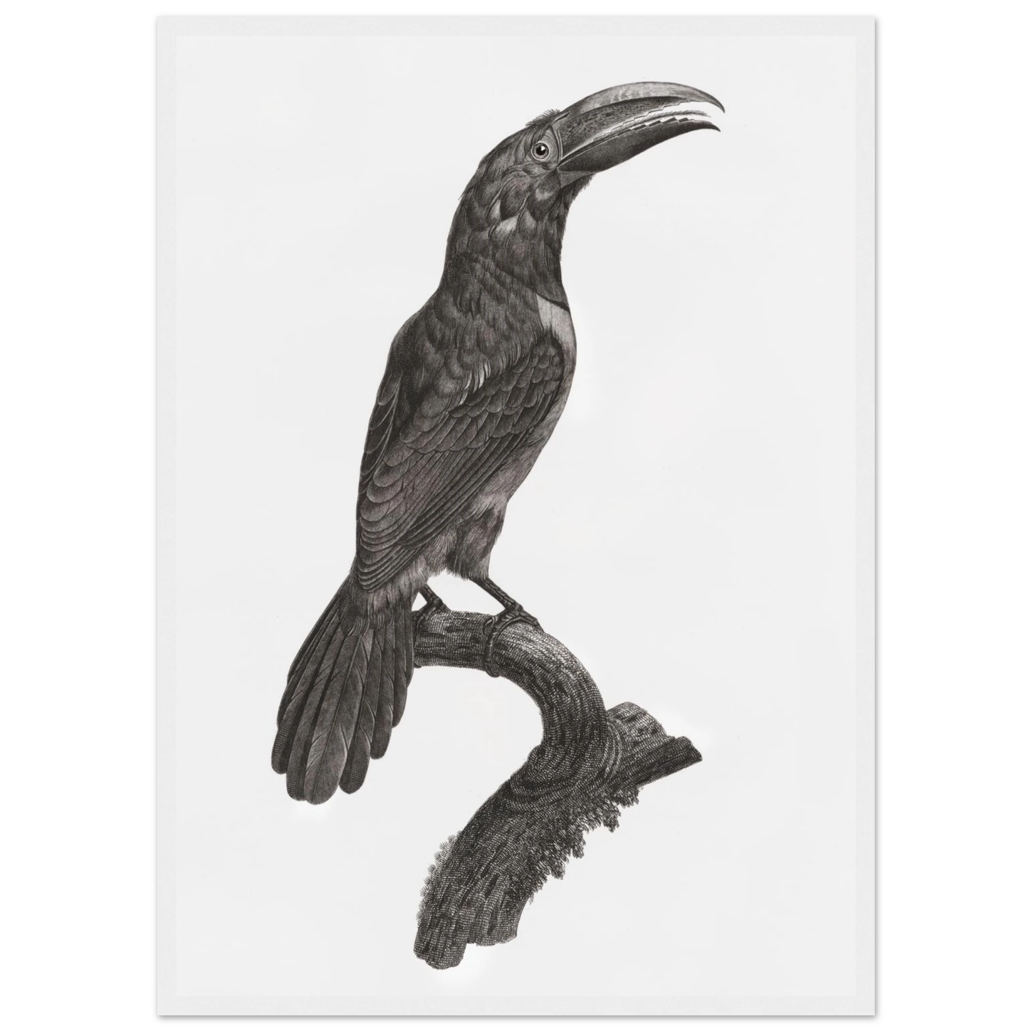 2c96346e-bd5c-420f-8ddc-644f1a6a88d5